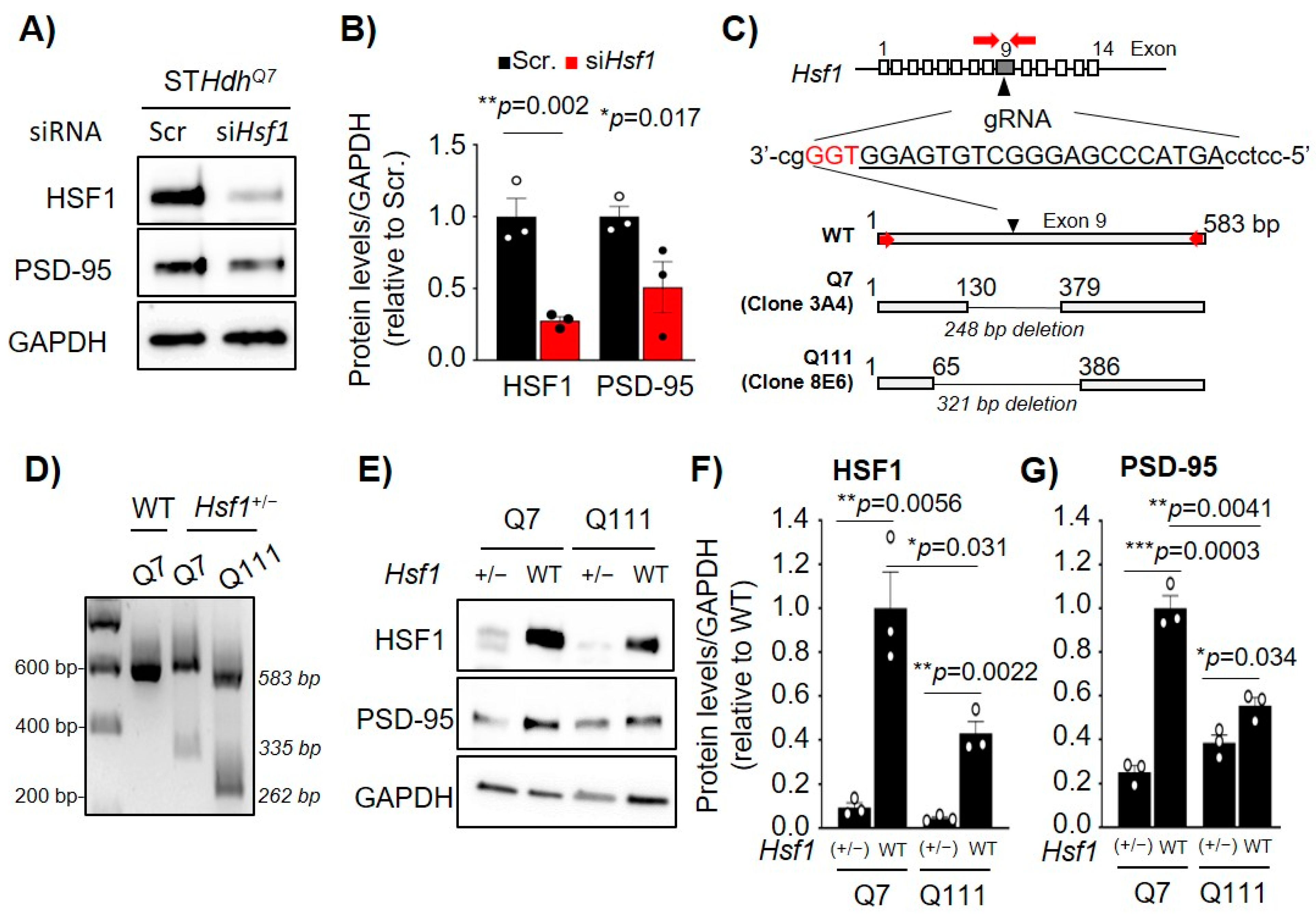 Ijms 22 13113 g002 550