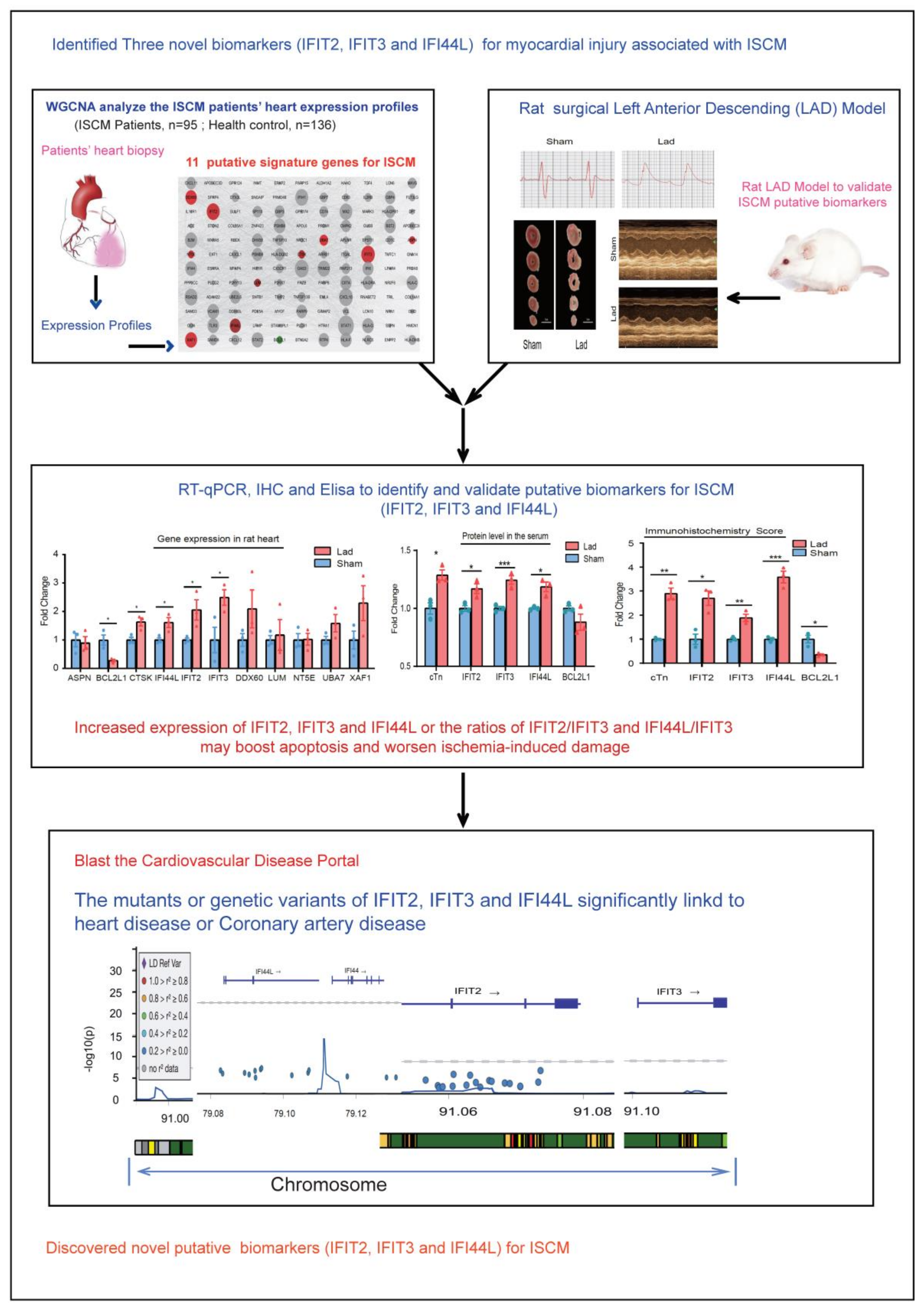Ijms 22 13116 g001 550