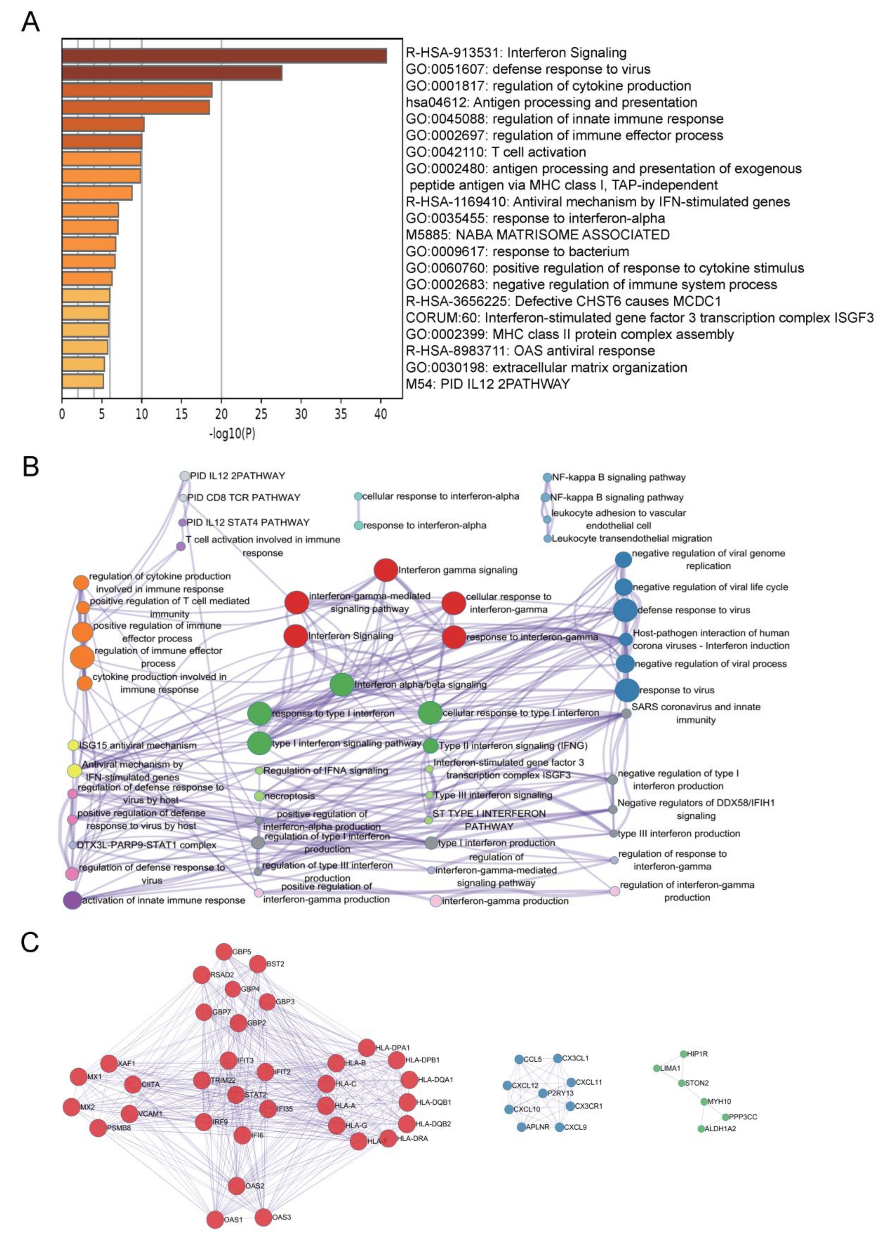 Ijms 22 13116 g003 550