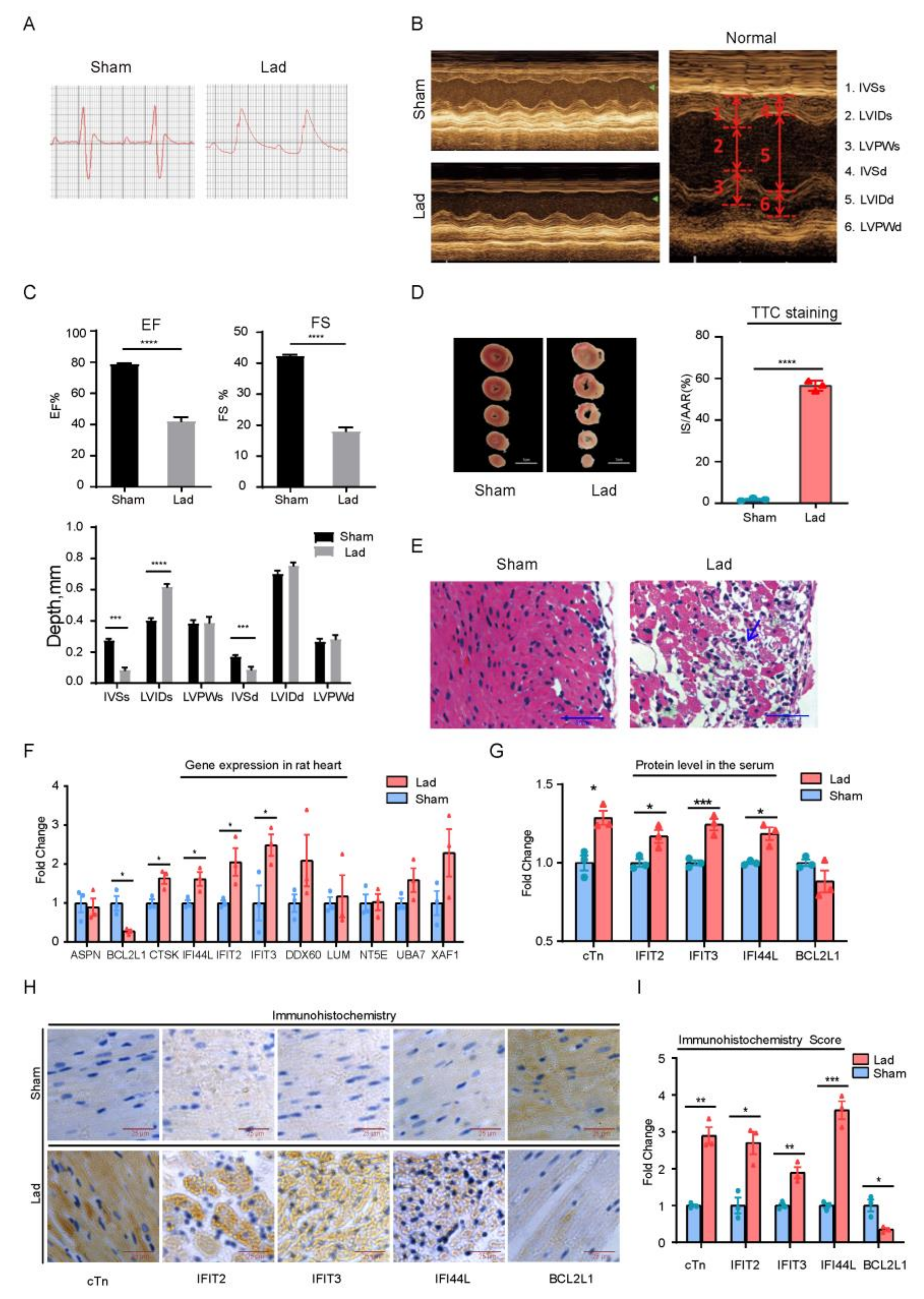 Ijms 22 13116 g004 550