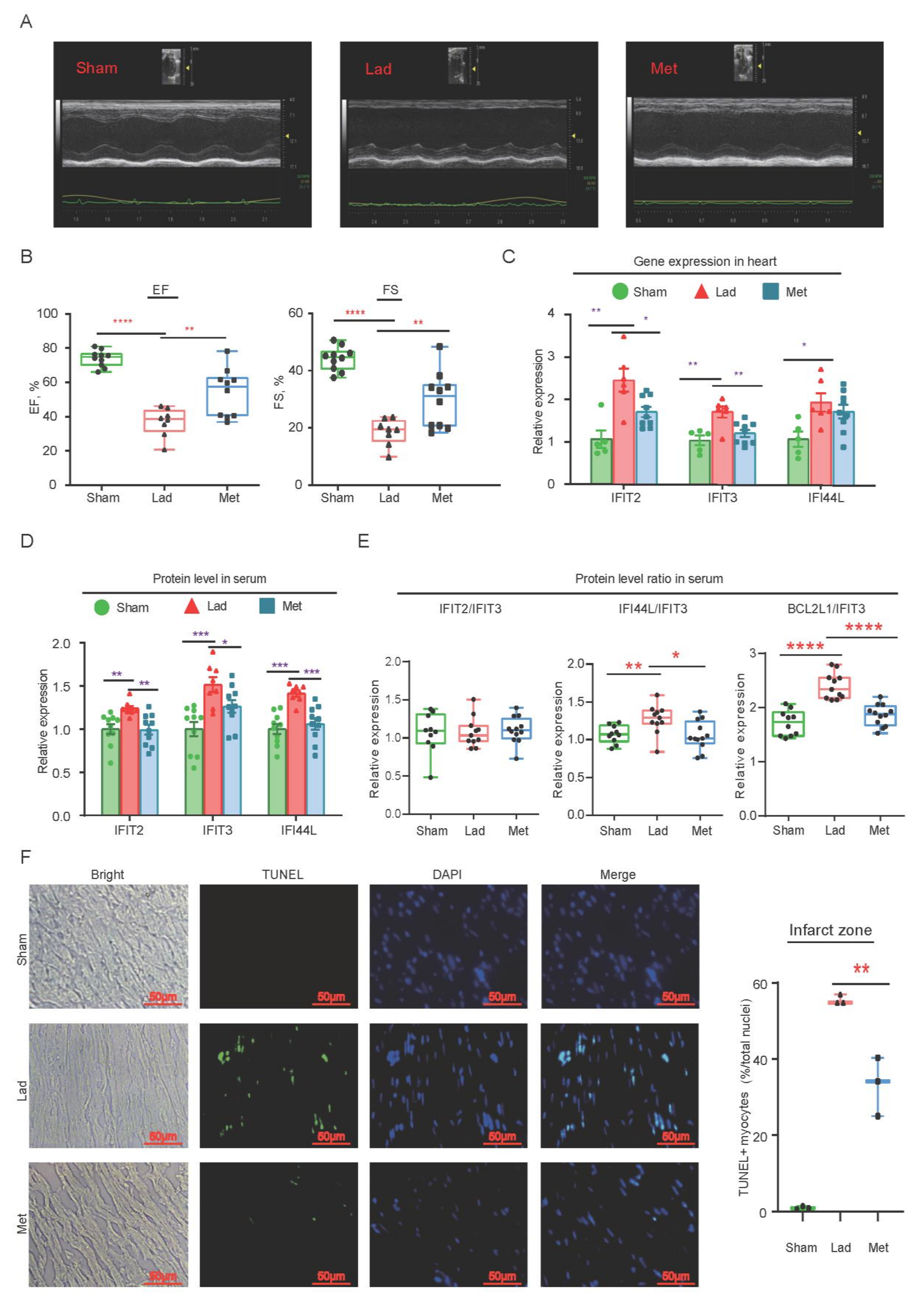 Ijms 22 13116 g005 550