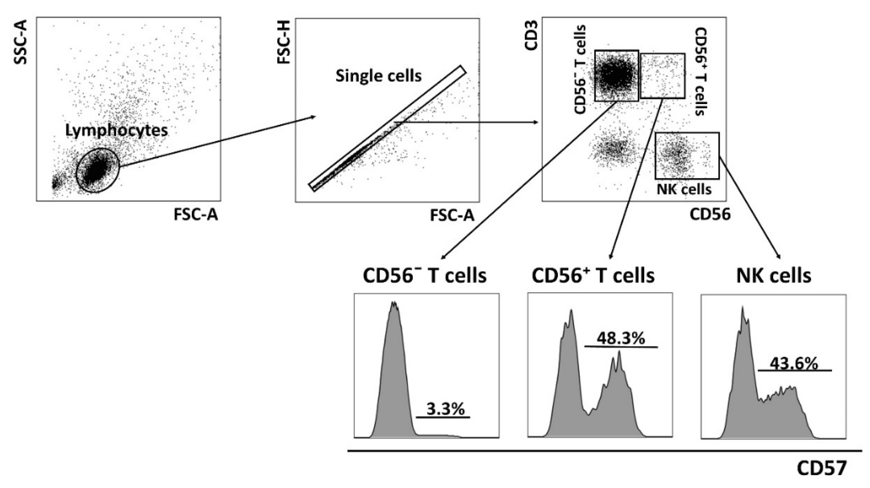 Ijms 22 13119 g003 550
