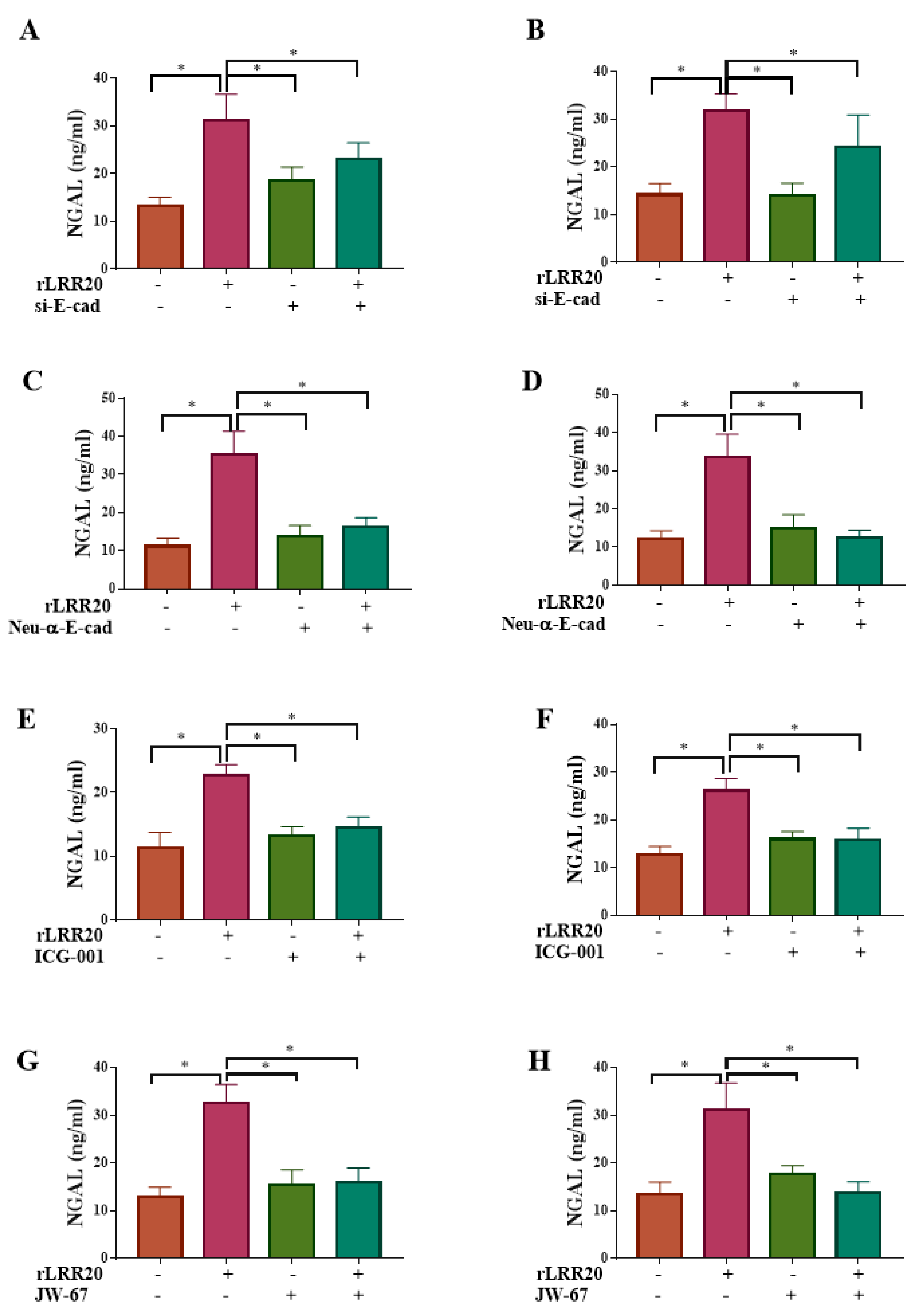 Ijms 22 13132 g008 550
