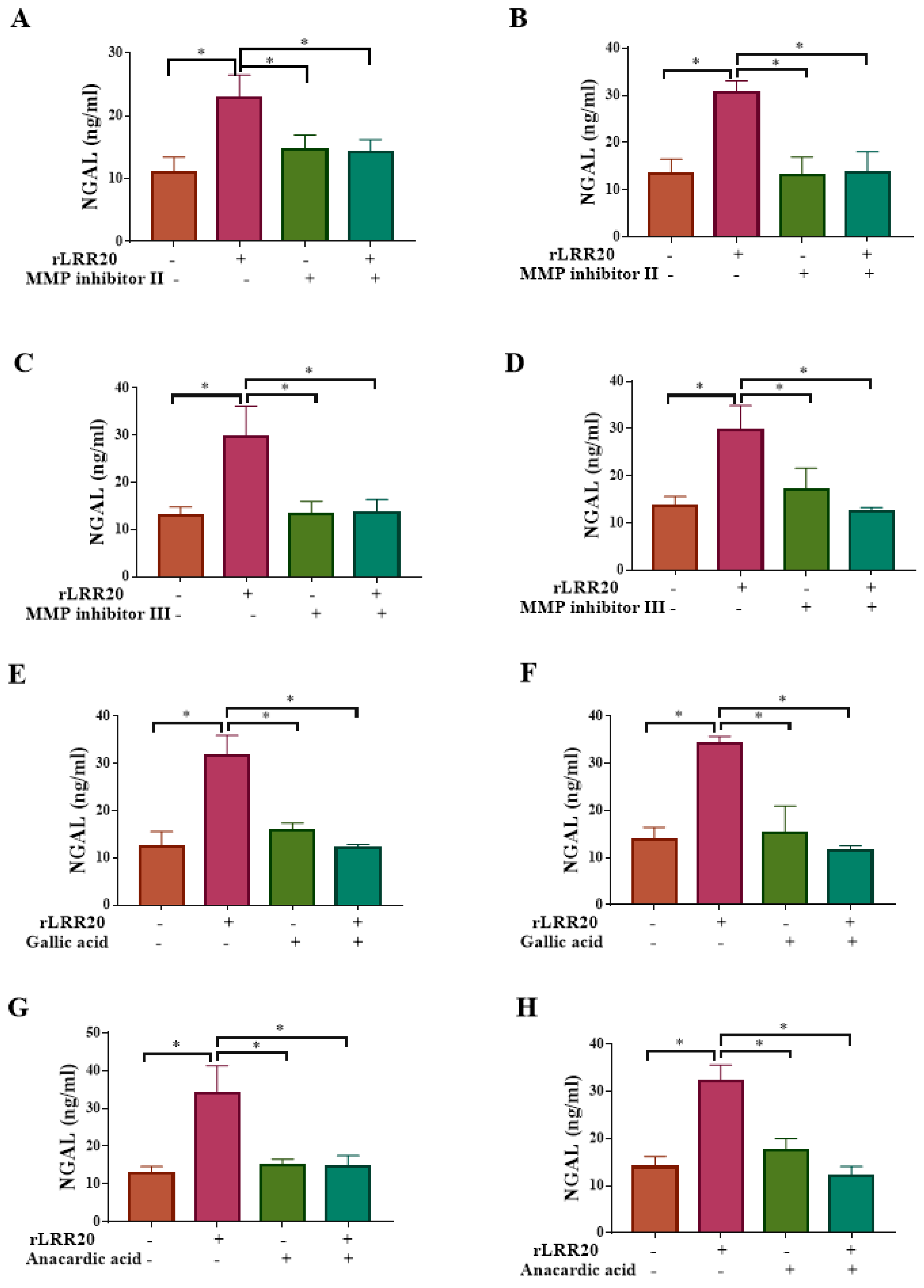 Ijms 22 13132 g009 550