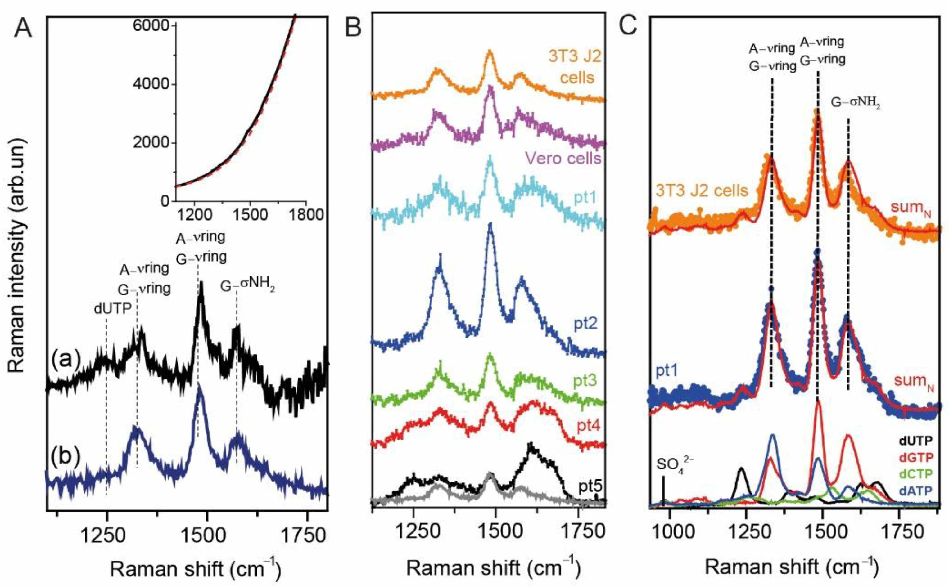 Ijms 22 13134 g002 550