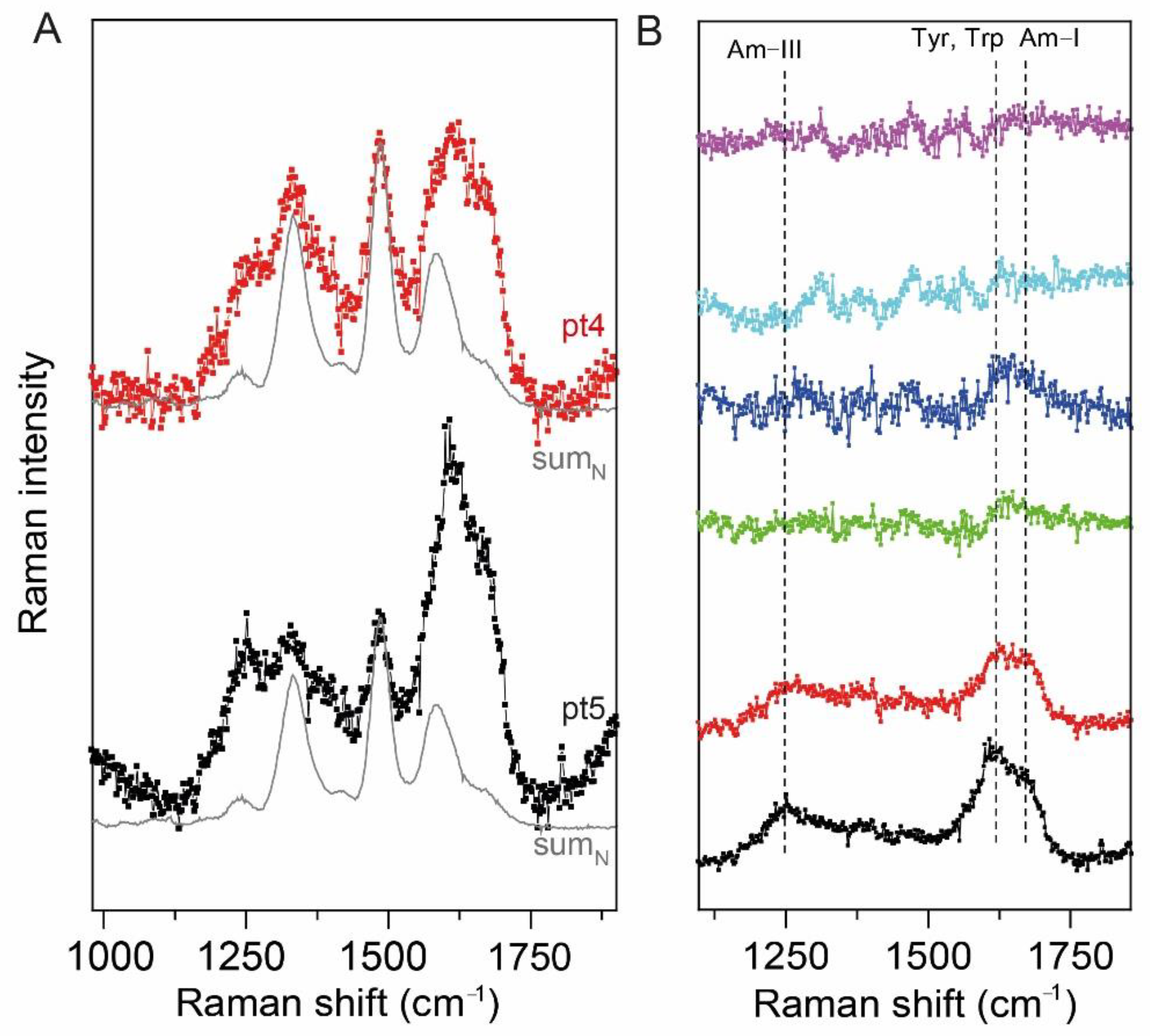 Ijms 22 13134 g003 550