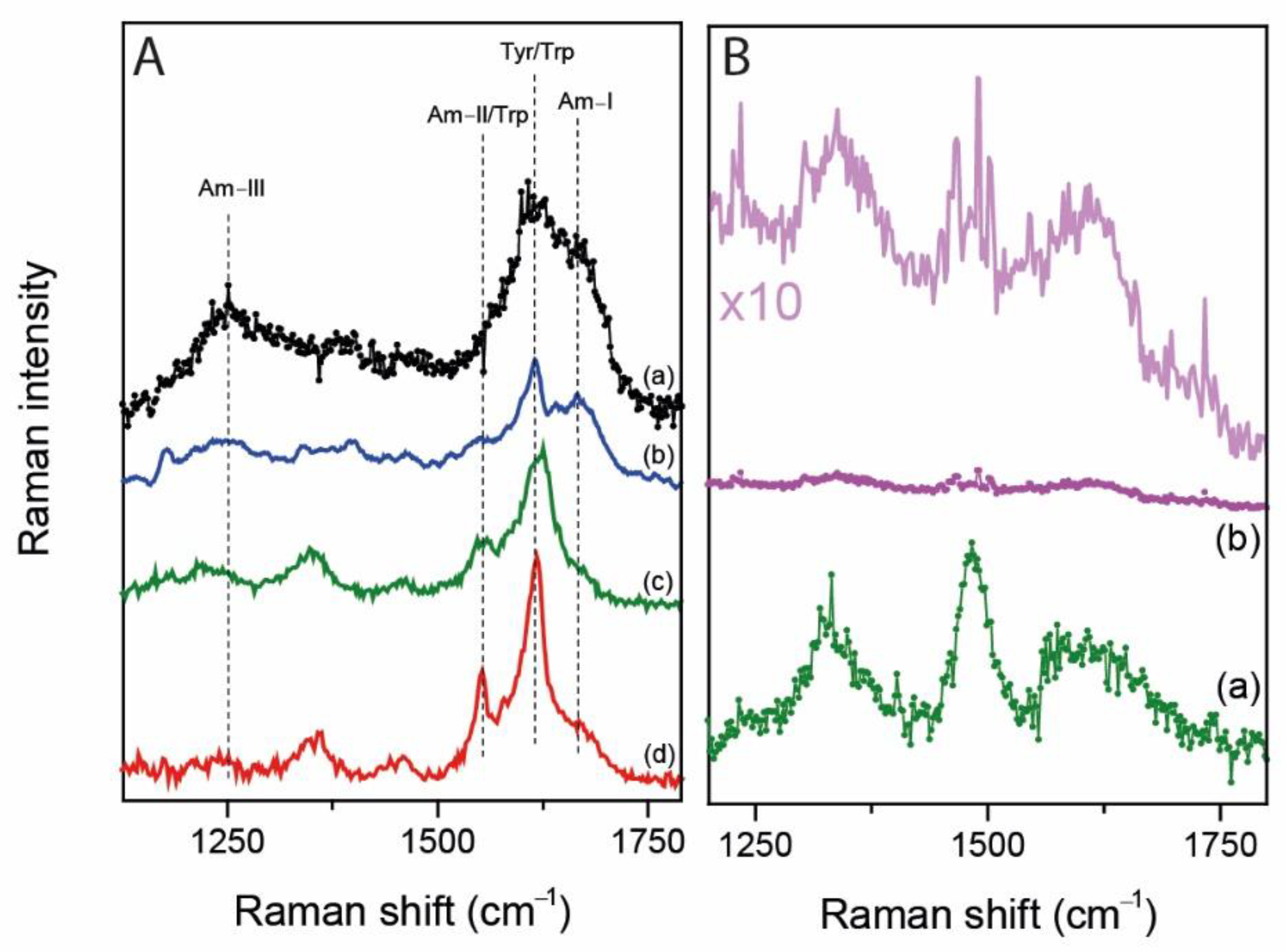 Ijms 22 13134 g004 550