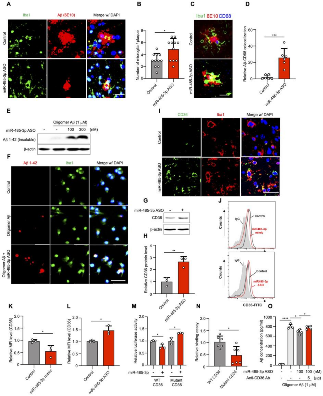 Ijms 22 13136 g005 550
