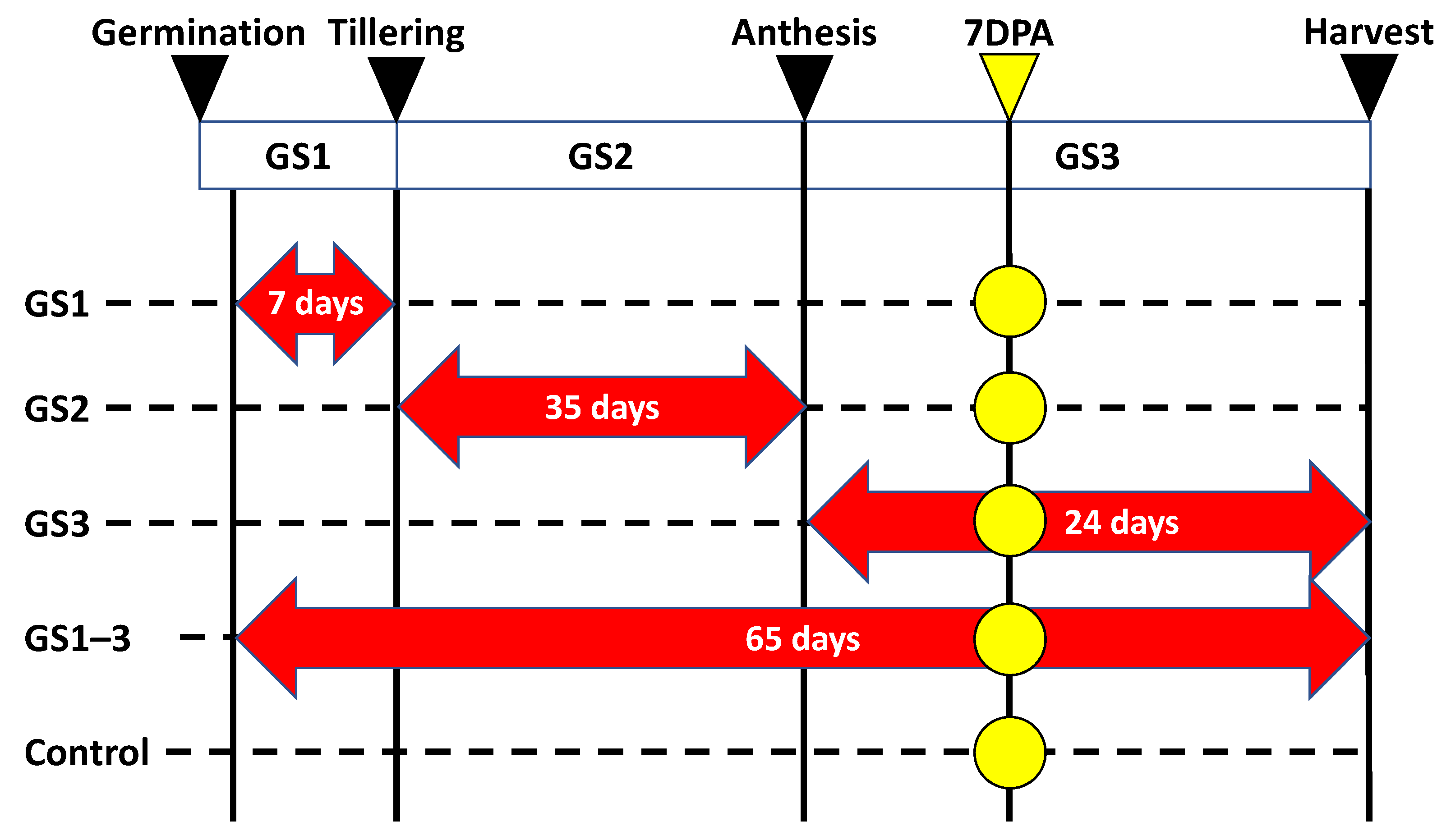 Ijms 22 13139 g001 550