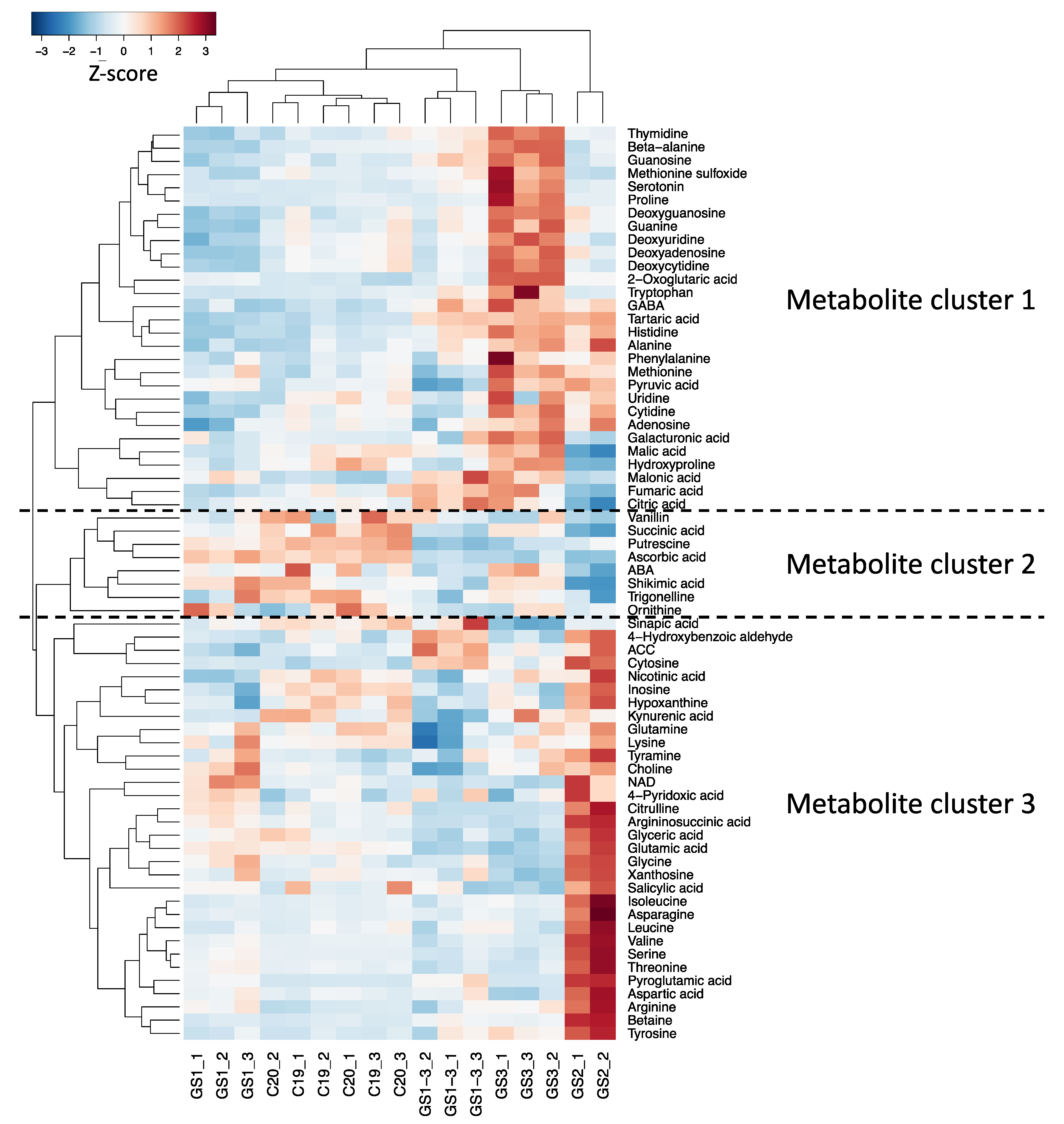 Ijms 22 13139 g003 550