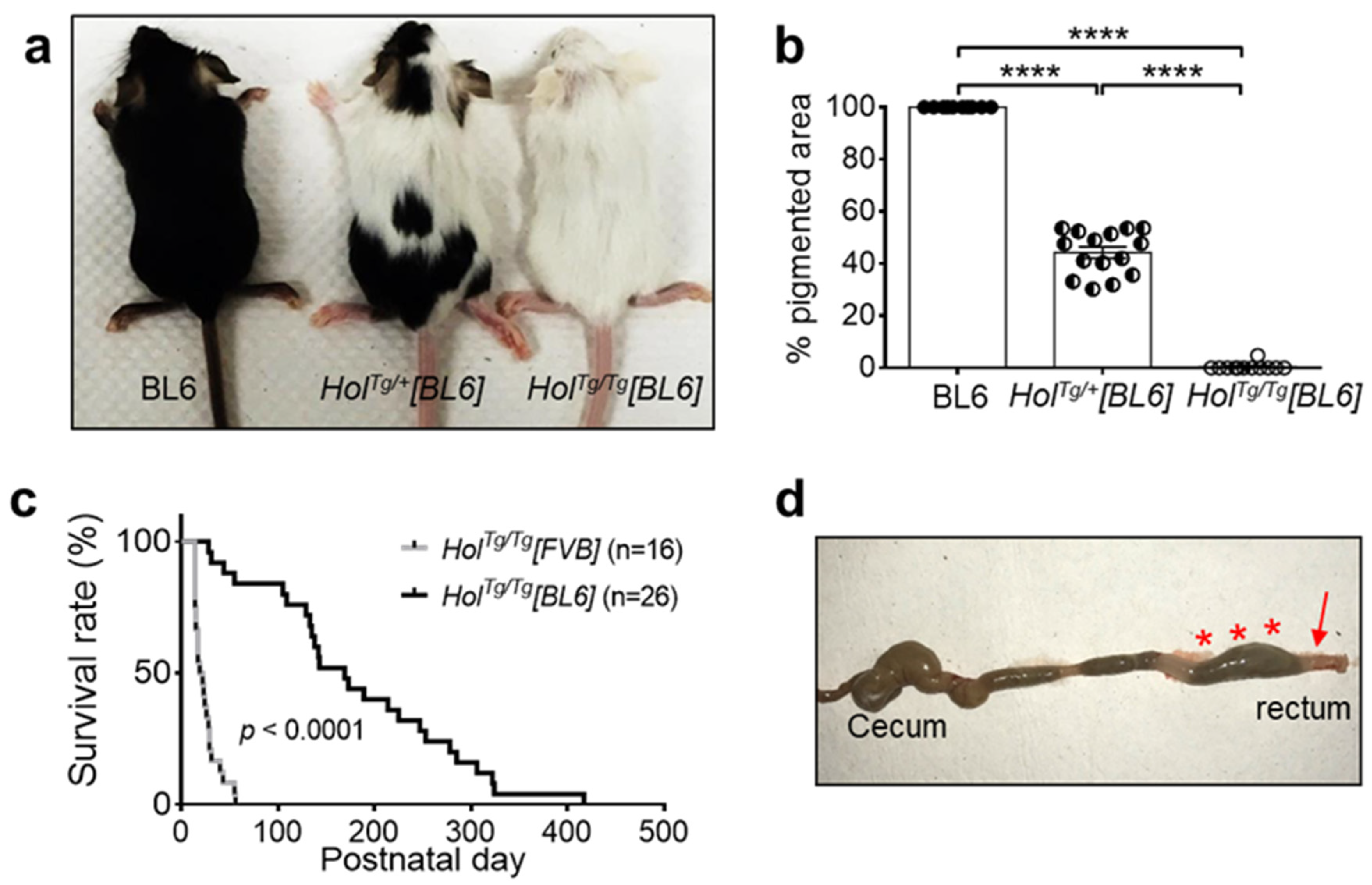 Ijms 22 13140 g001 550