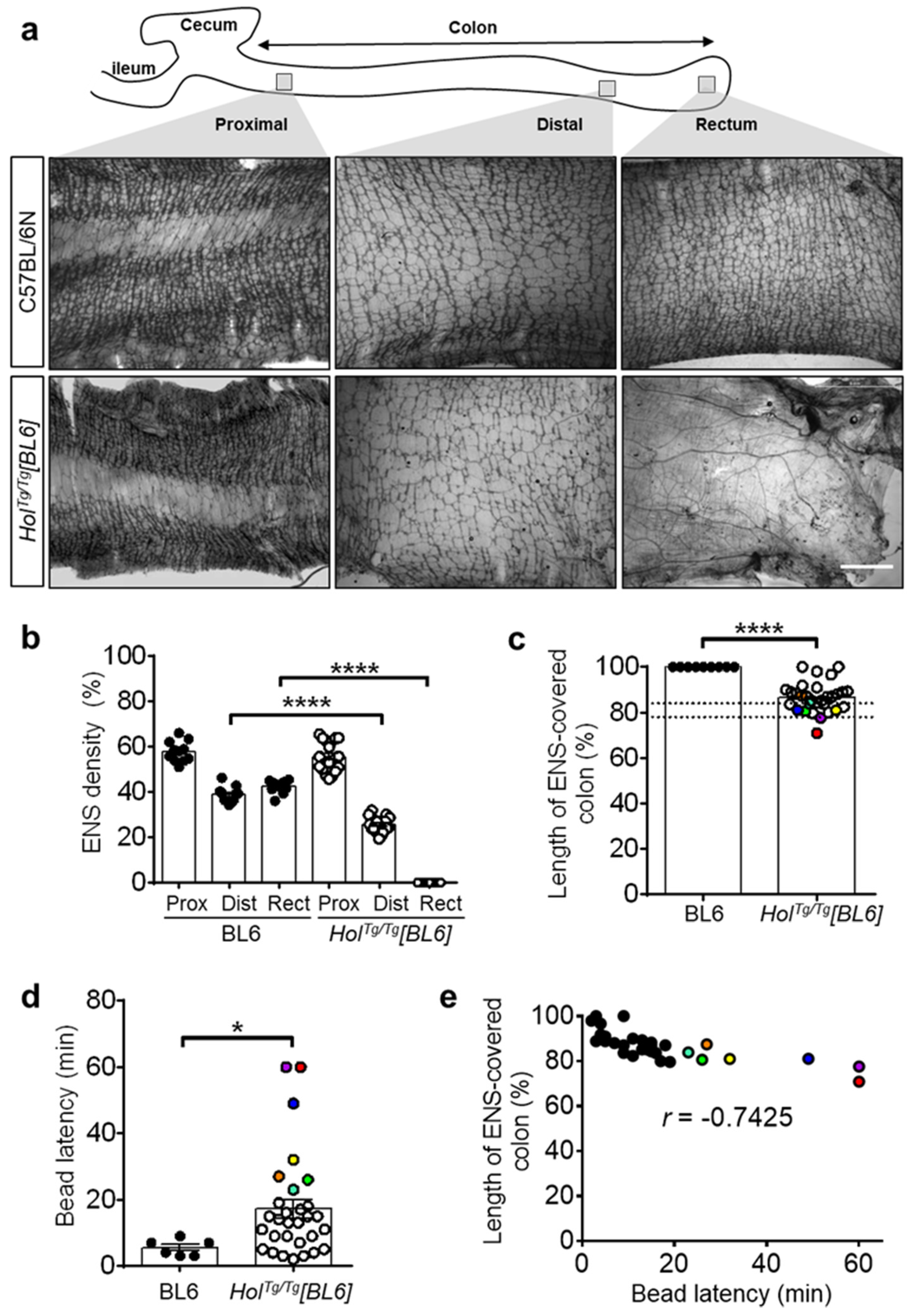 Ijms 22 13140 g002 550