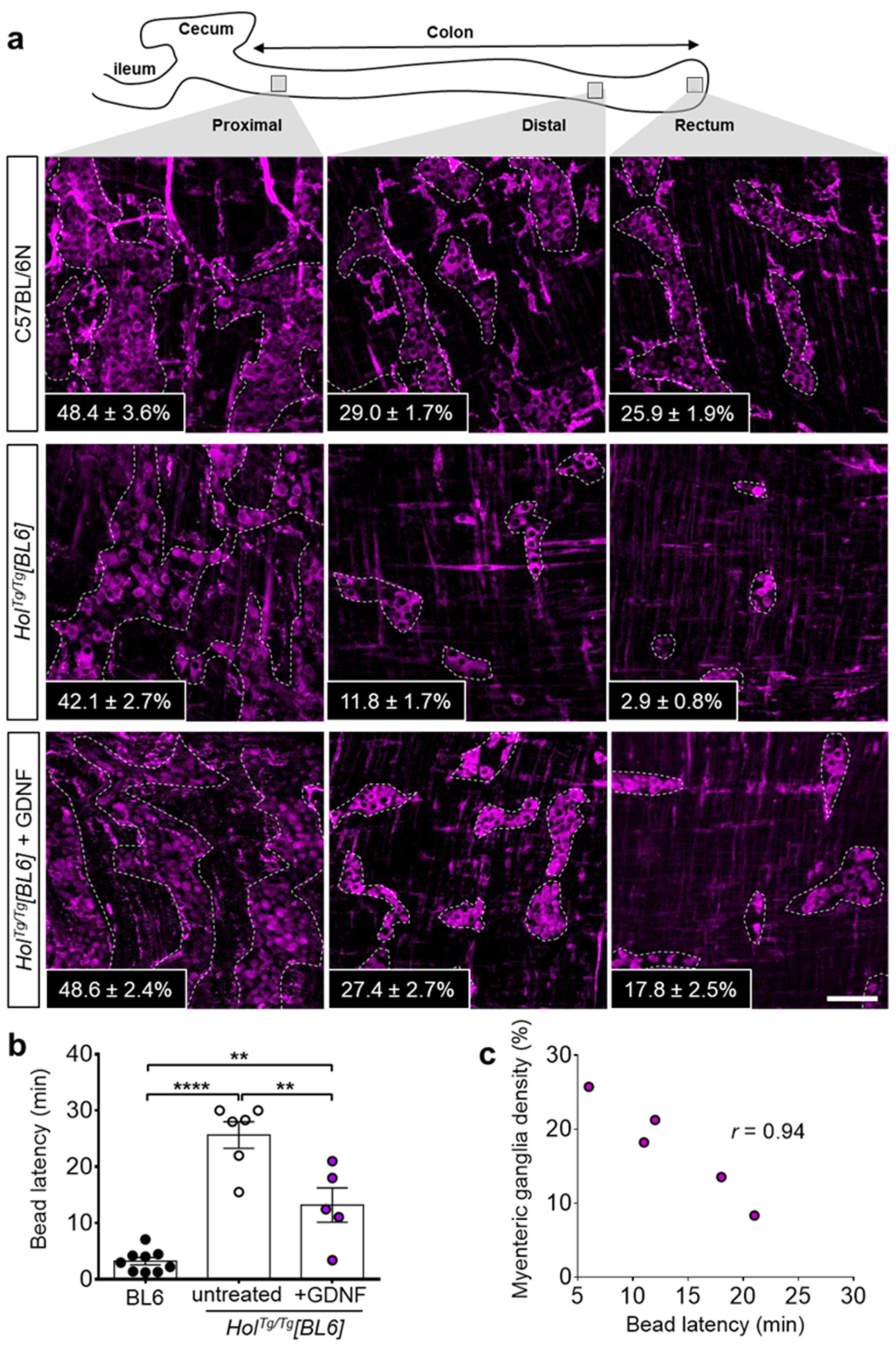 Ijms 22 13140 g005 550