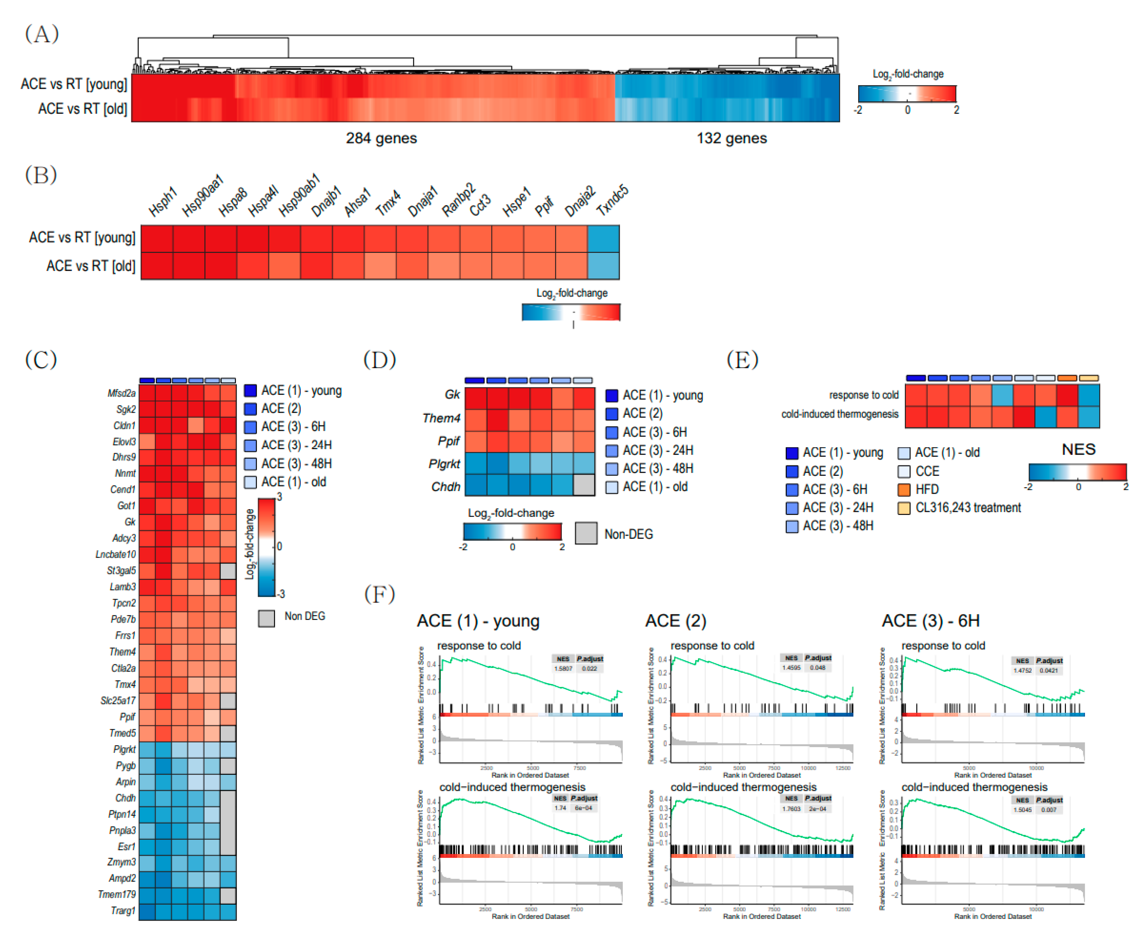 Ijms 22 13143 g004 550