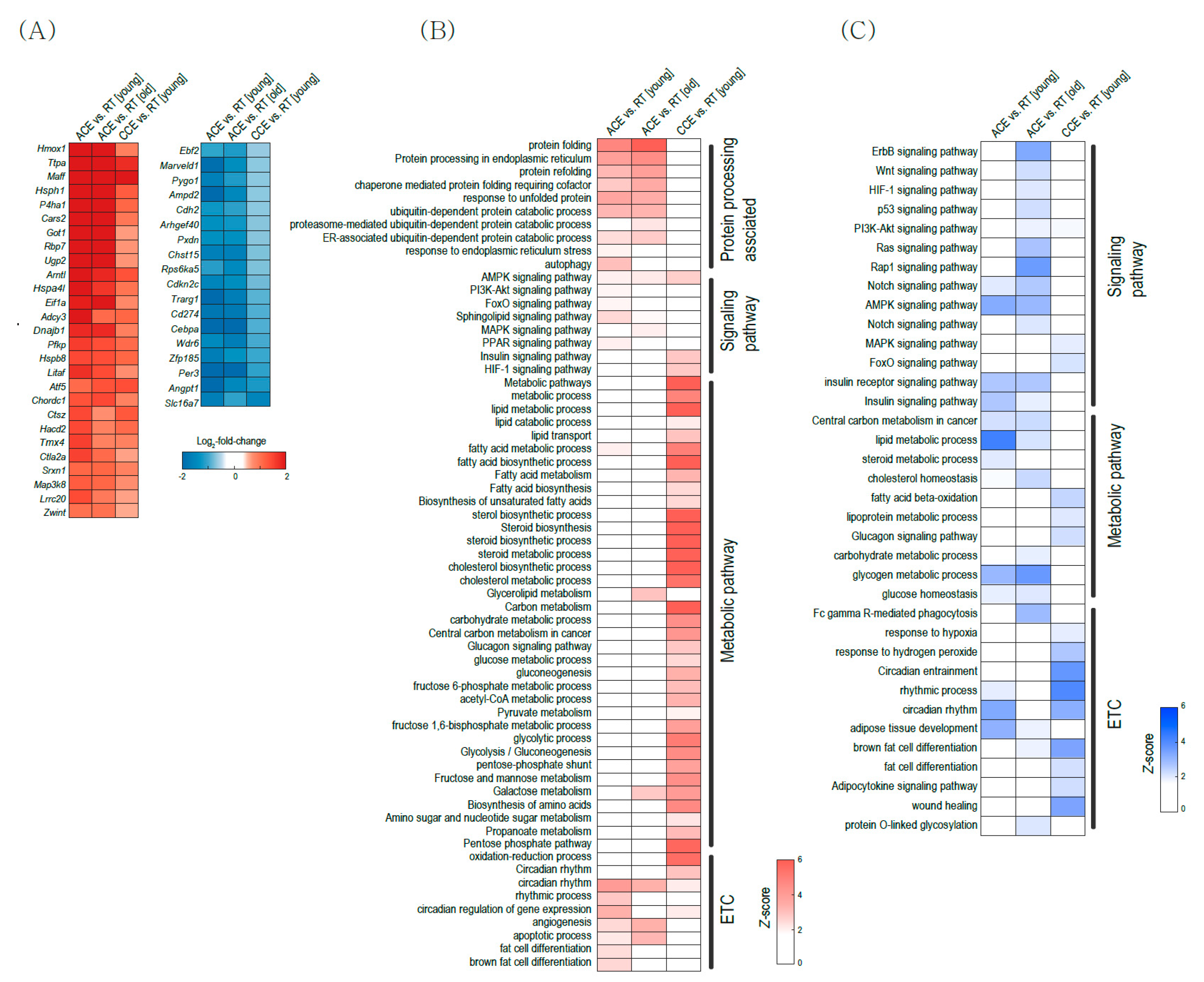 Ijms 22 13143 g005 550