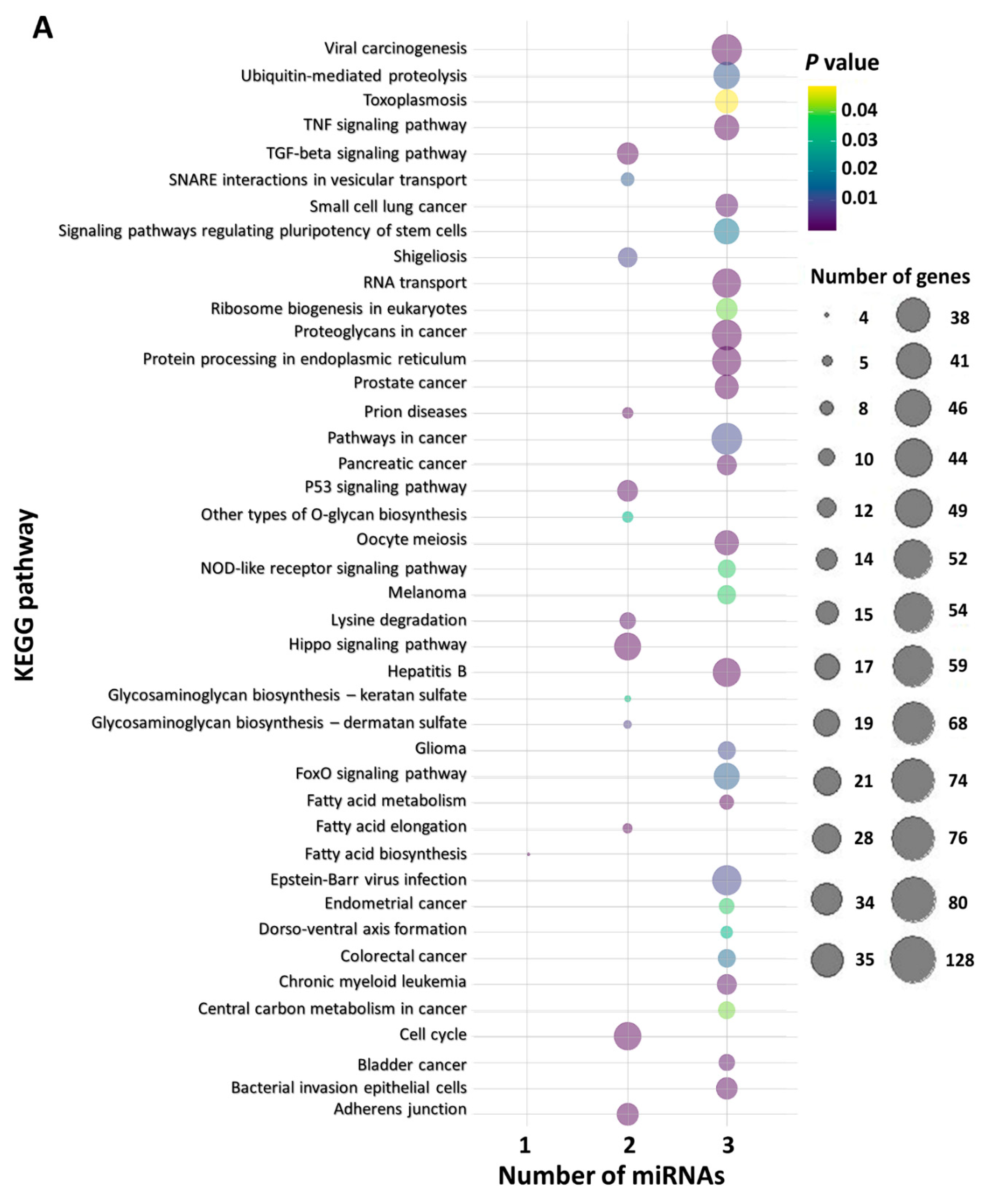 Ijms 22 13144 g005a 550