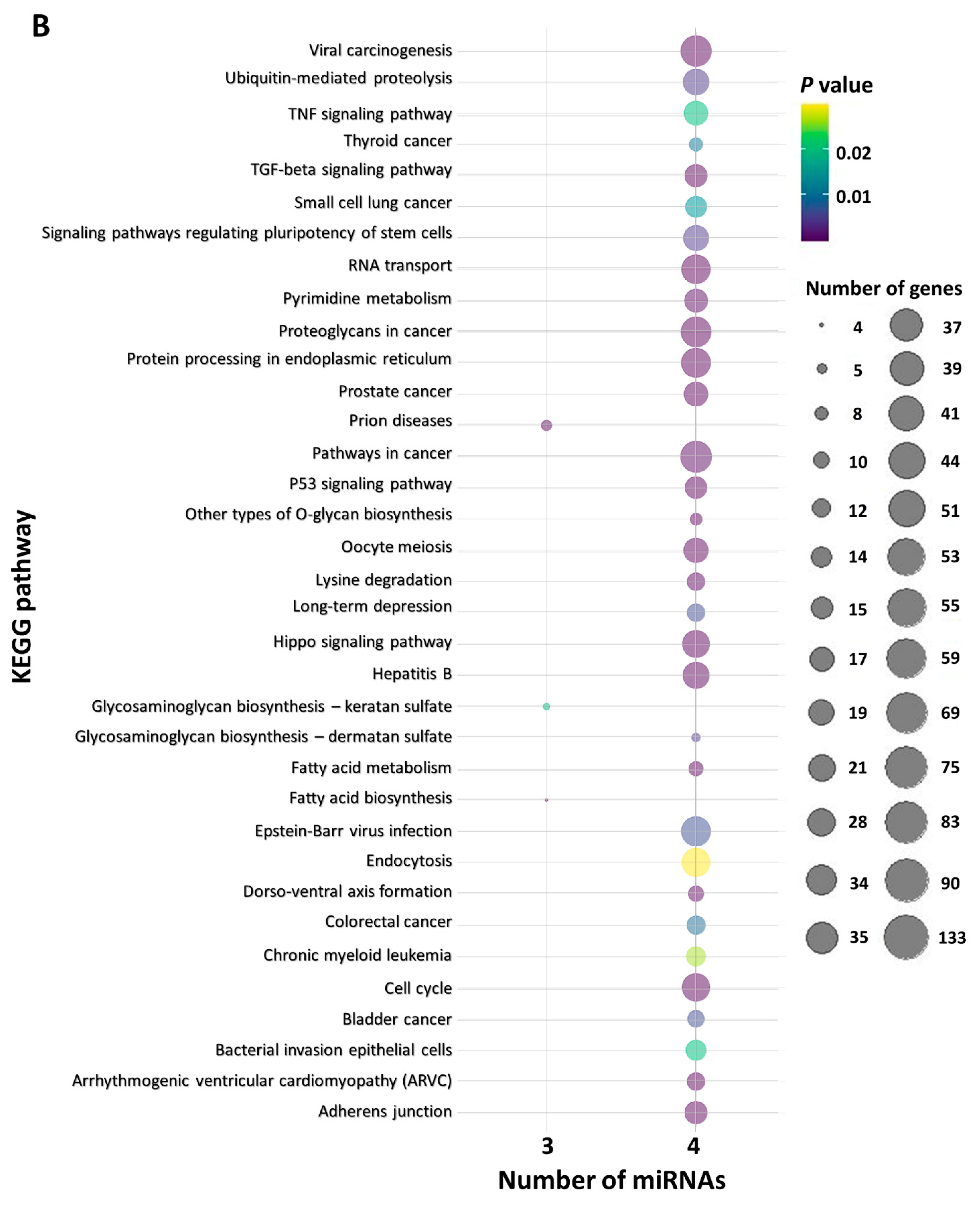 Ijms 22 13144 g005b 550