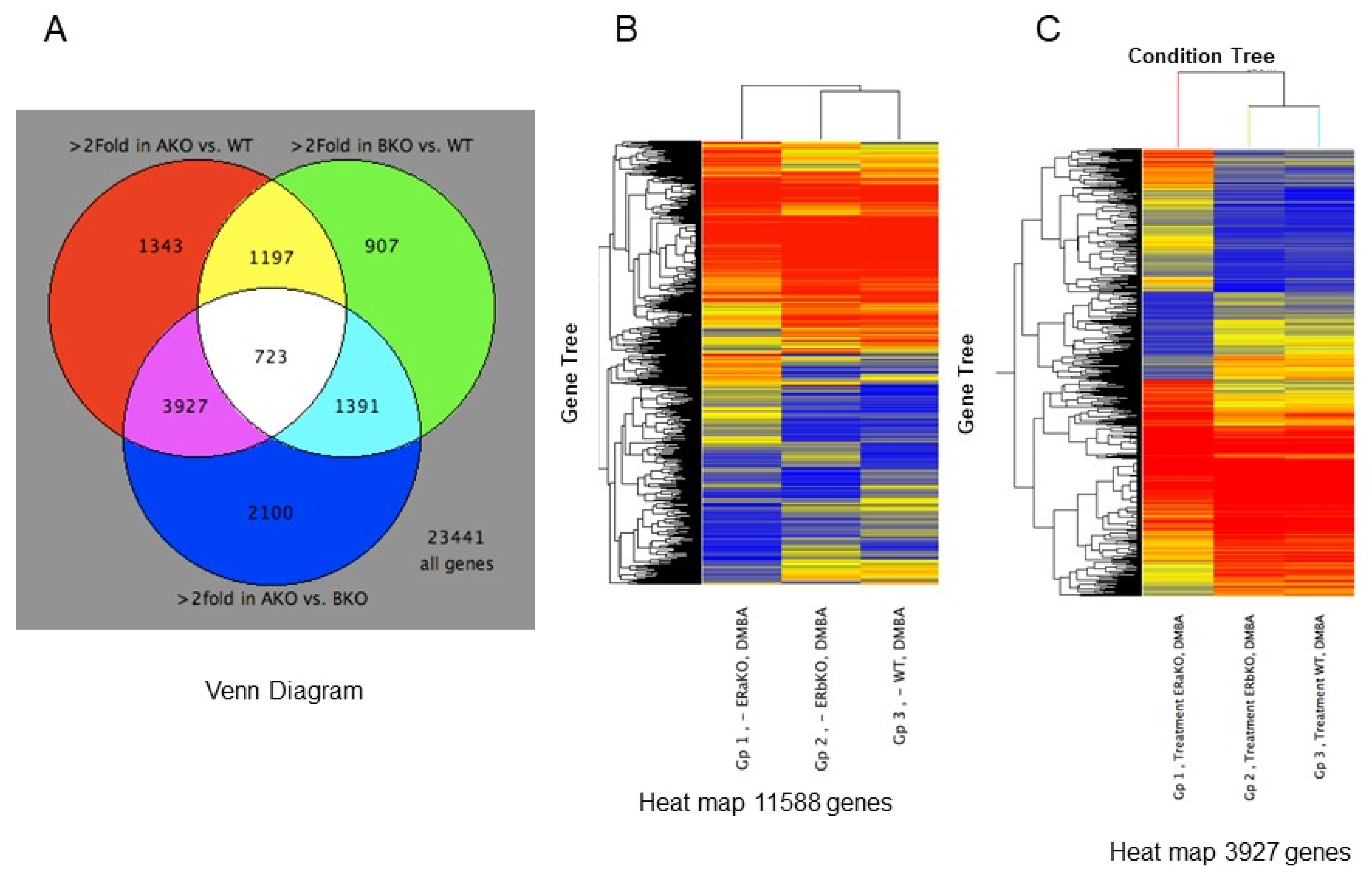 Ijms 22 13151 g003 Ijms 22 13151 g003