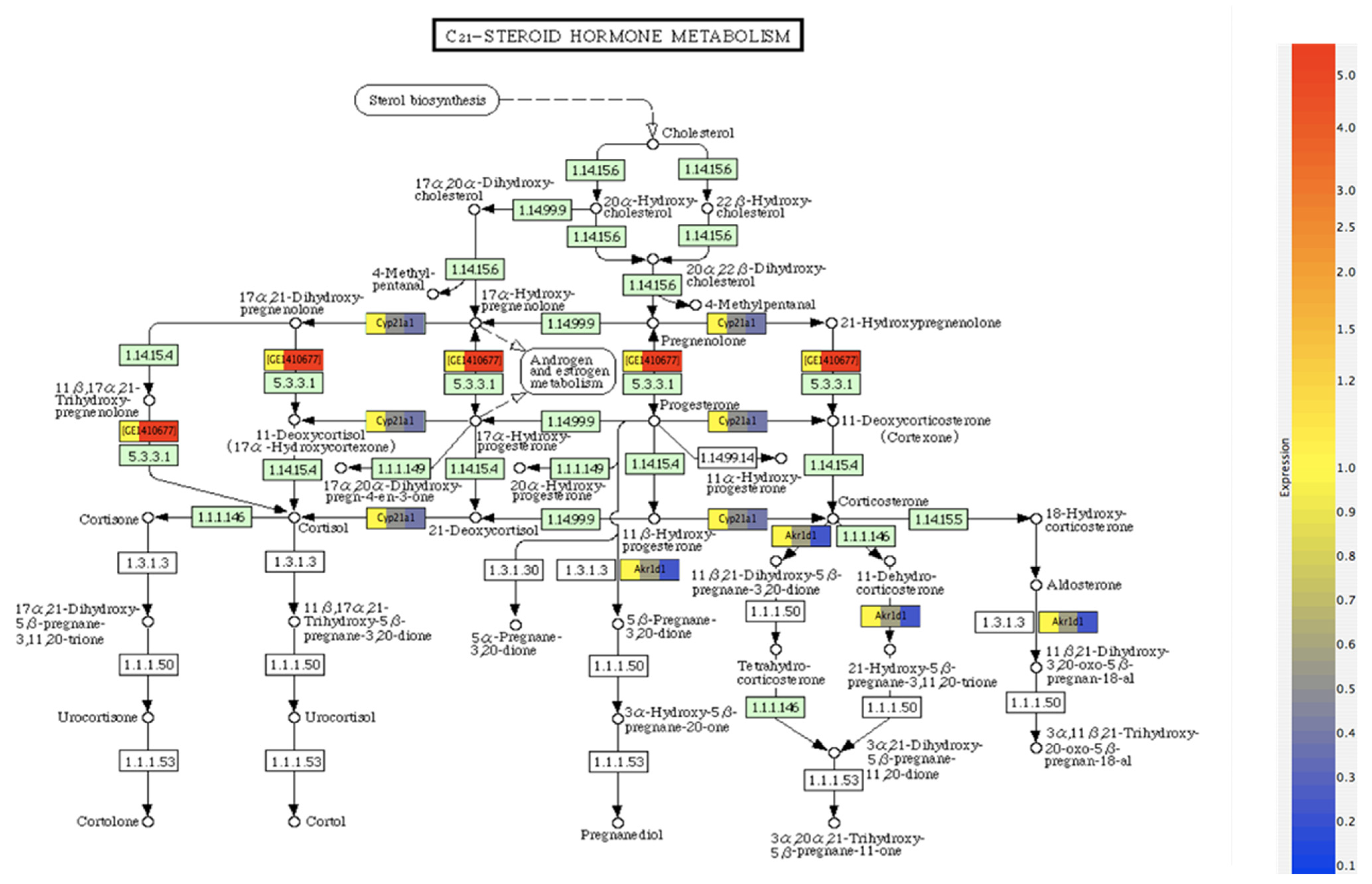 Ijms 22 13151 g004 Ijms 22 13151 g004