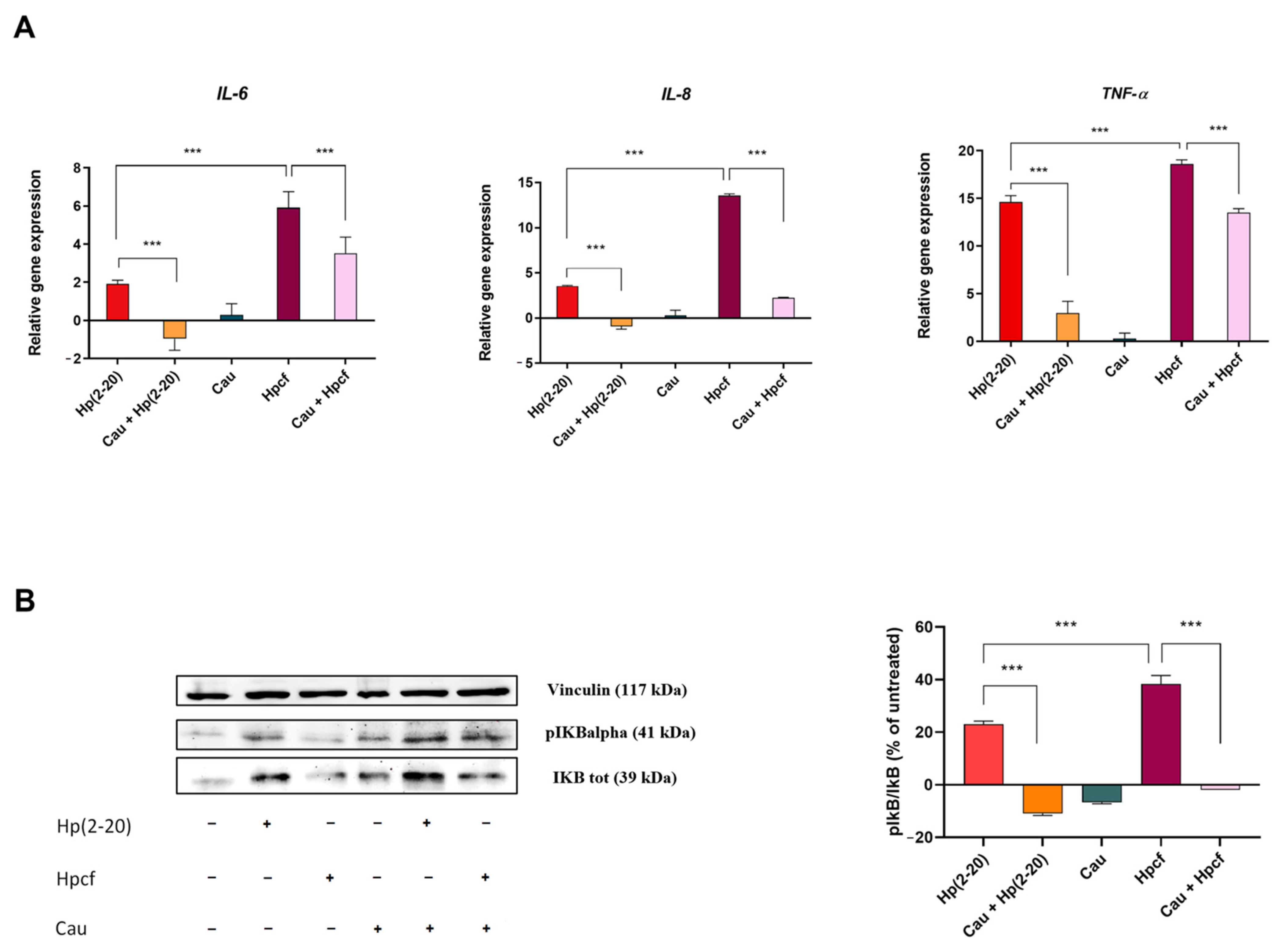 Ijms 22 13154 g002 550