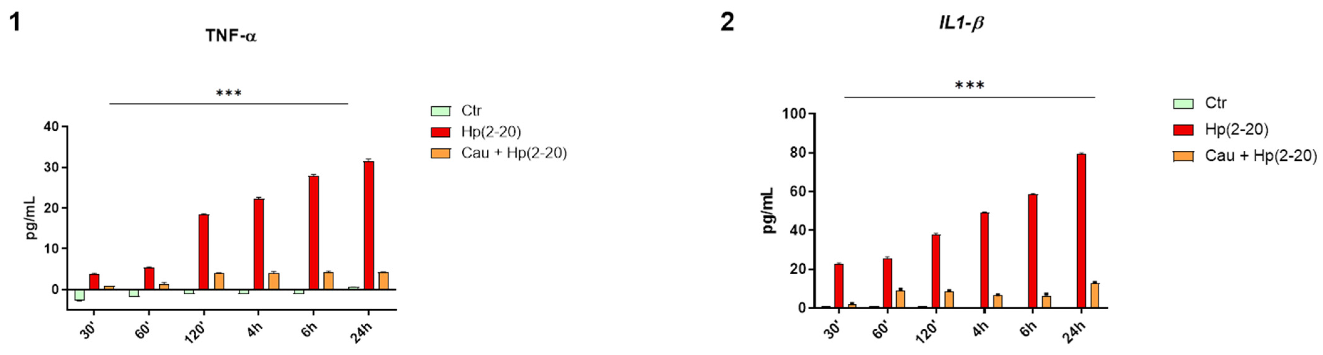 Ijms 22 13154 g004 550