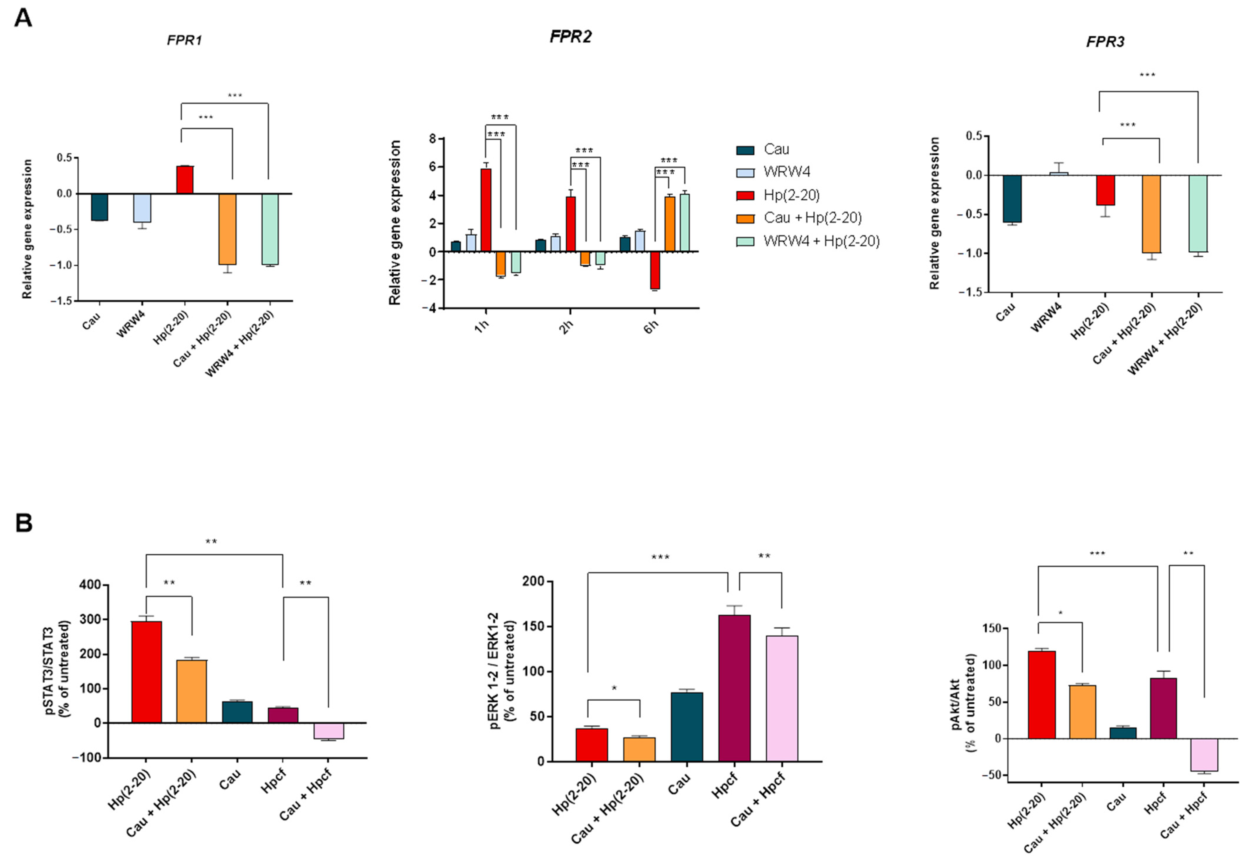 Ijms 22 13154 g007 550