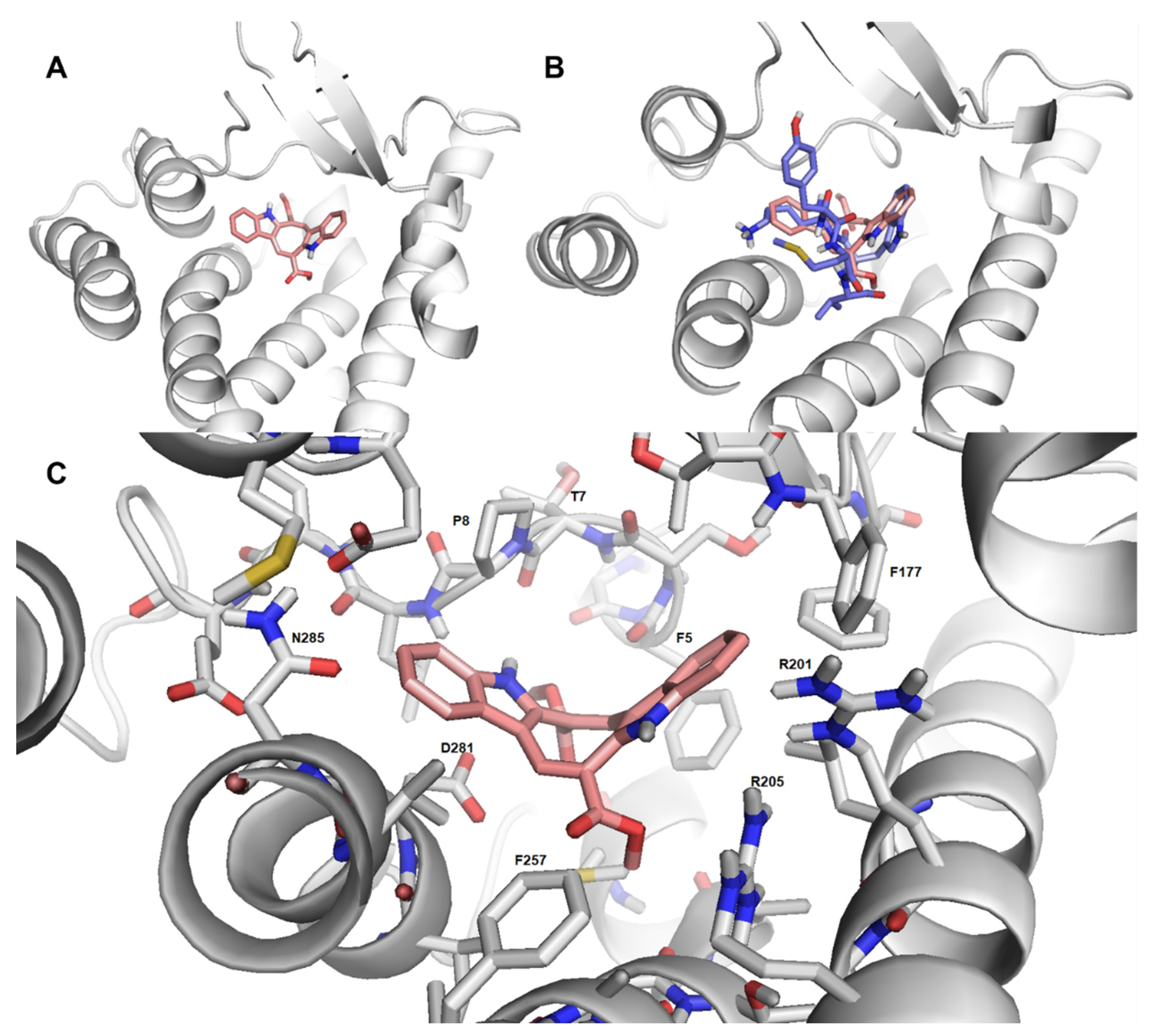 Ijms 22 13154 g008 550