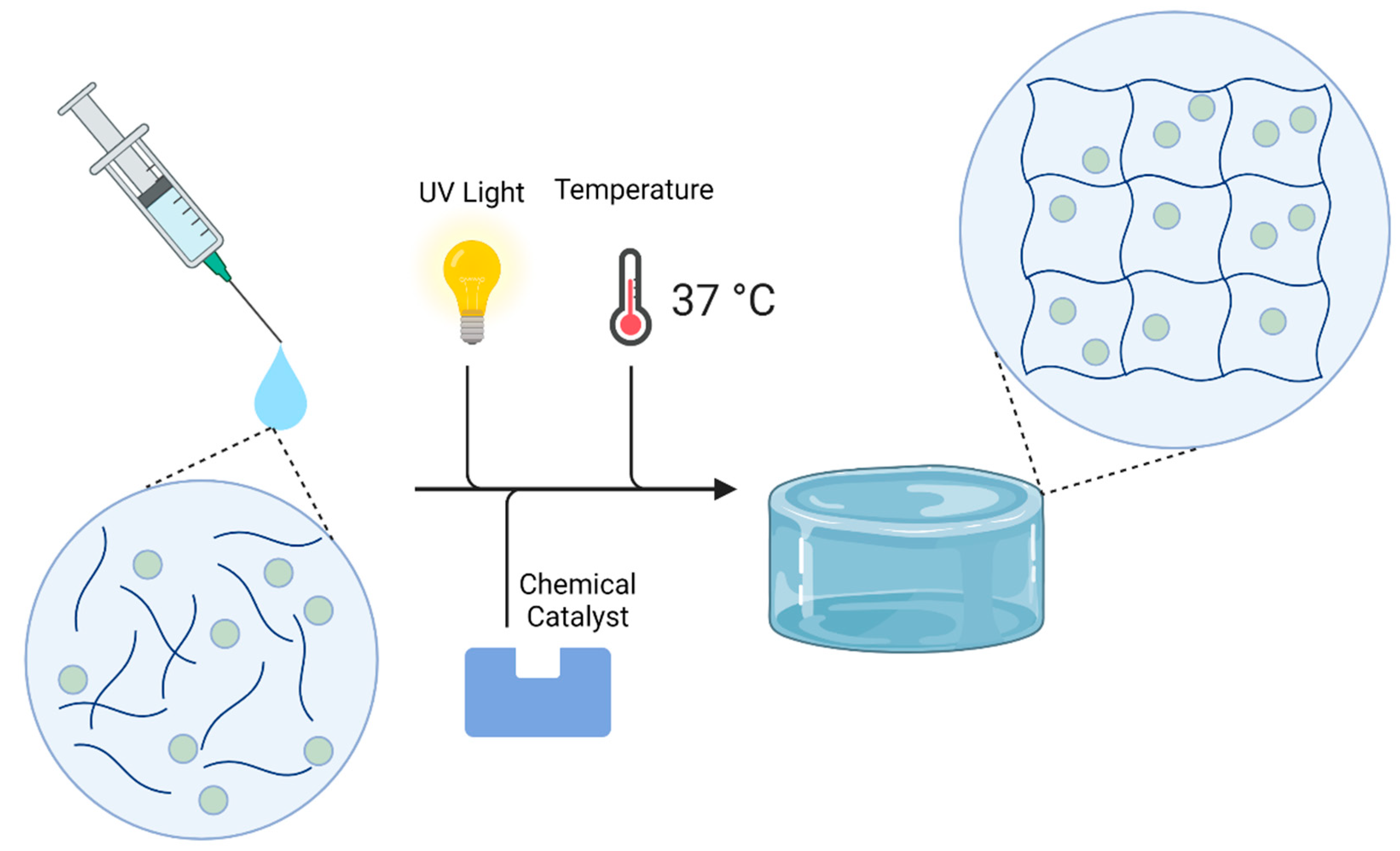 Ijms 22 13160 g006 550