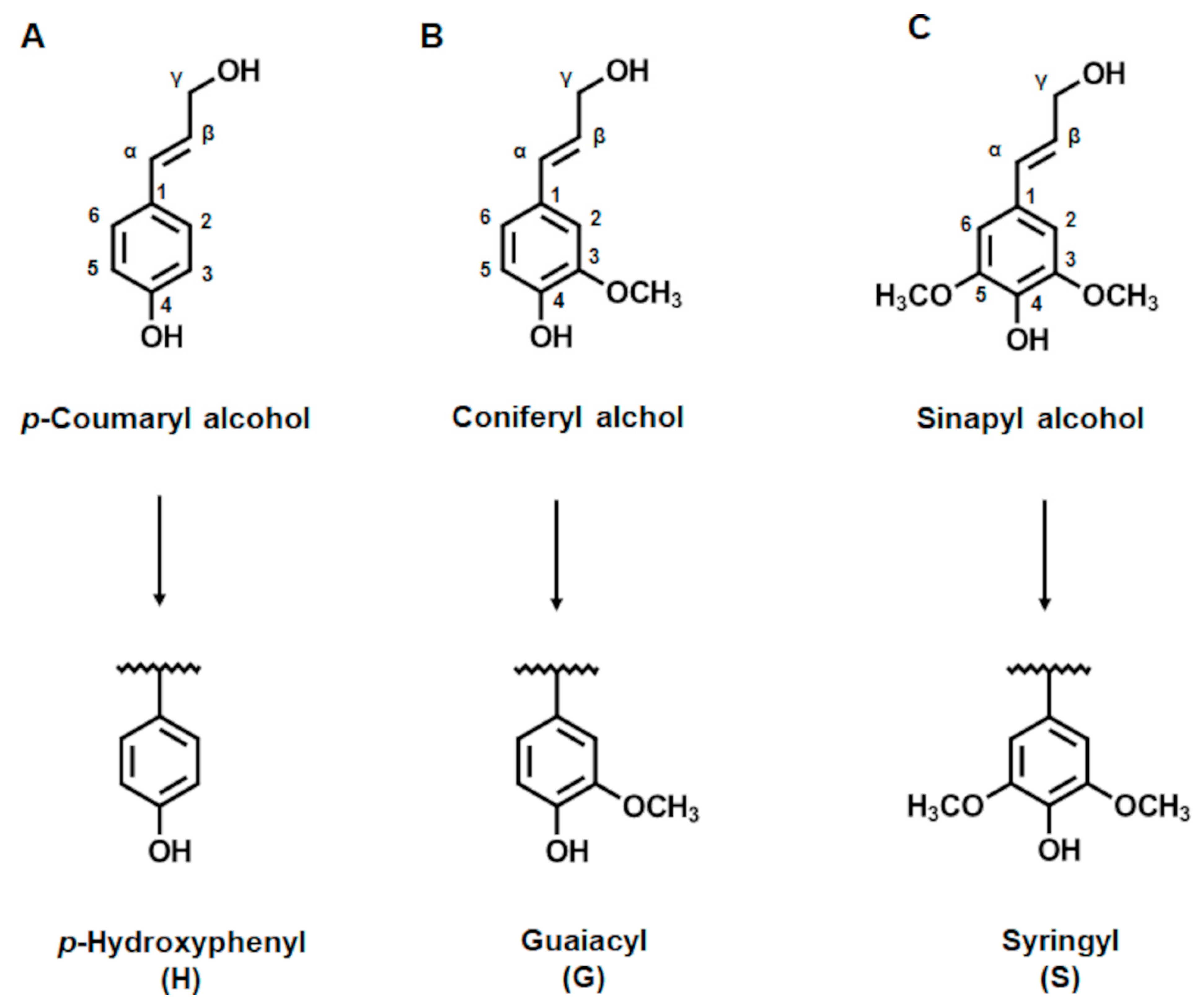 Ijms 22 13161 g001 550