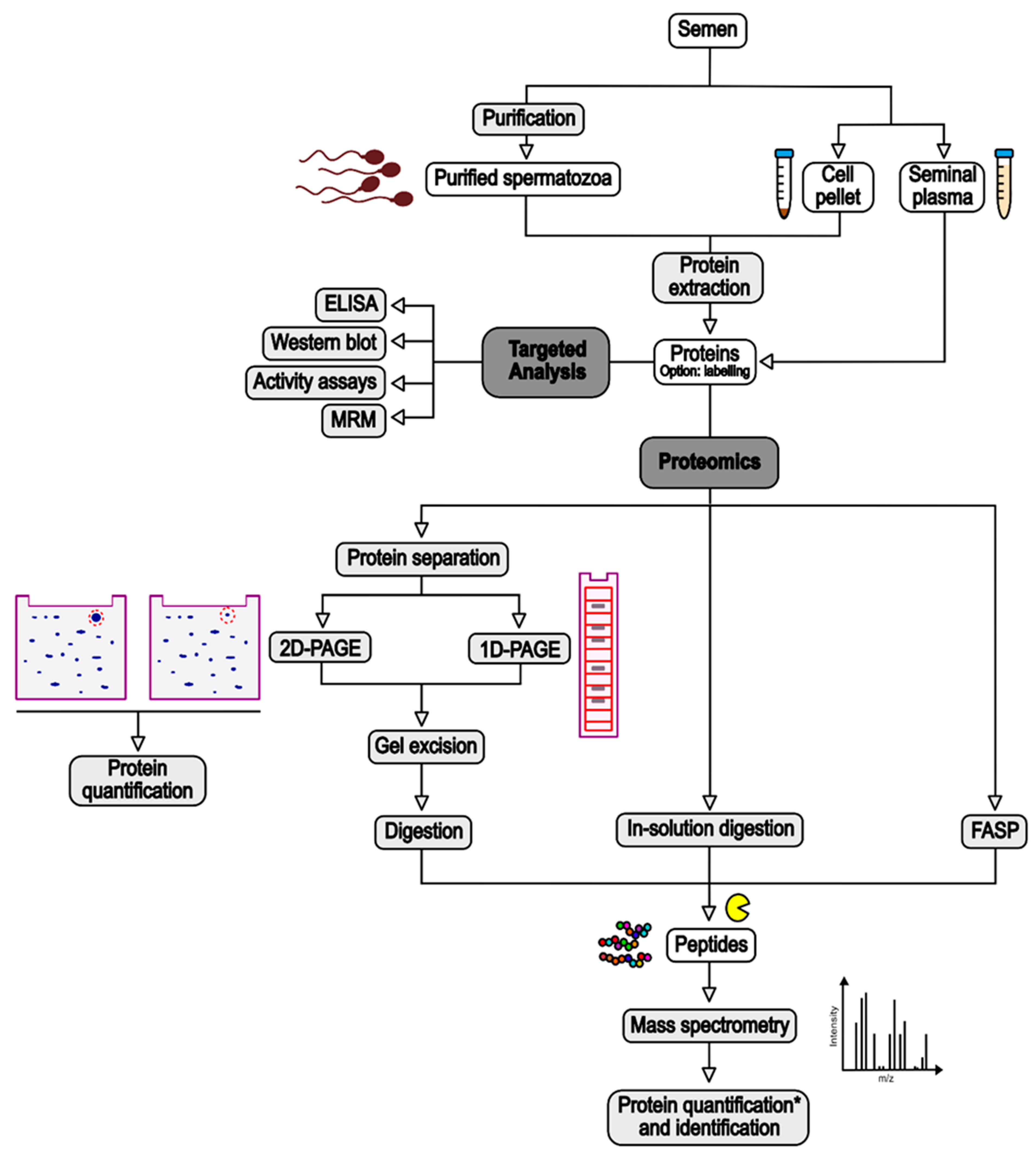 yua Regulating the regulators: long non-coding RNAs as