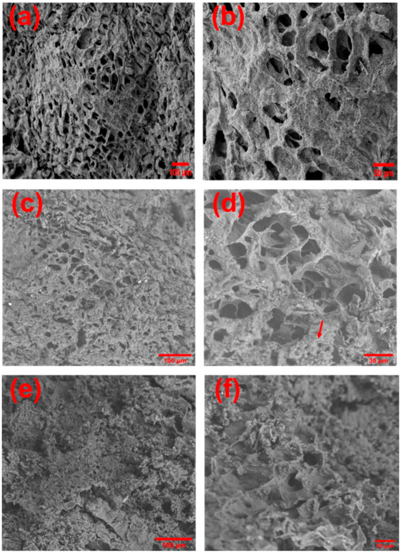 Ijms 22 13165 g006 550