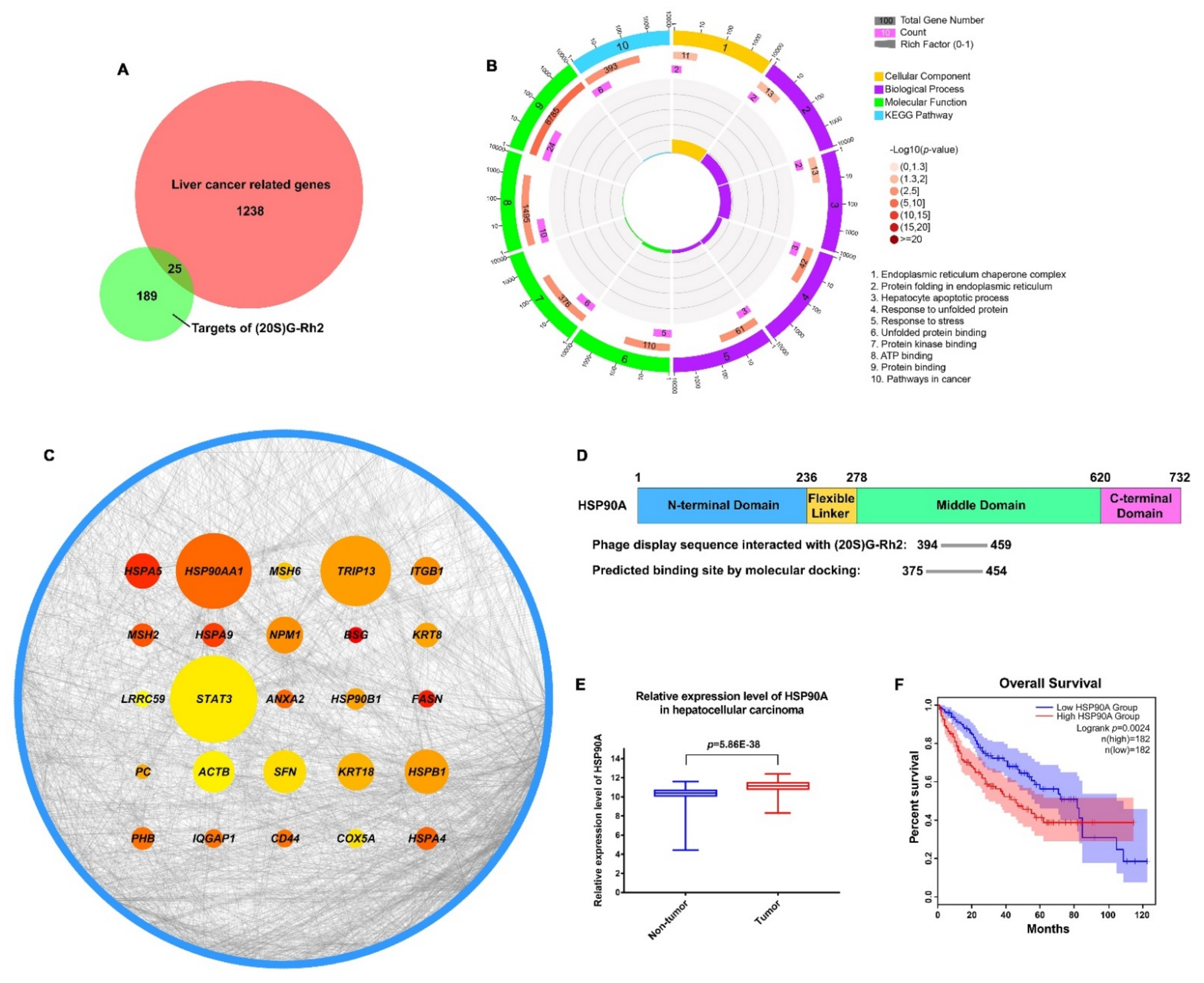 Ijms 22 13170 g001 550