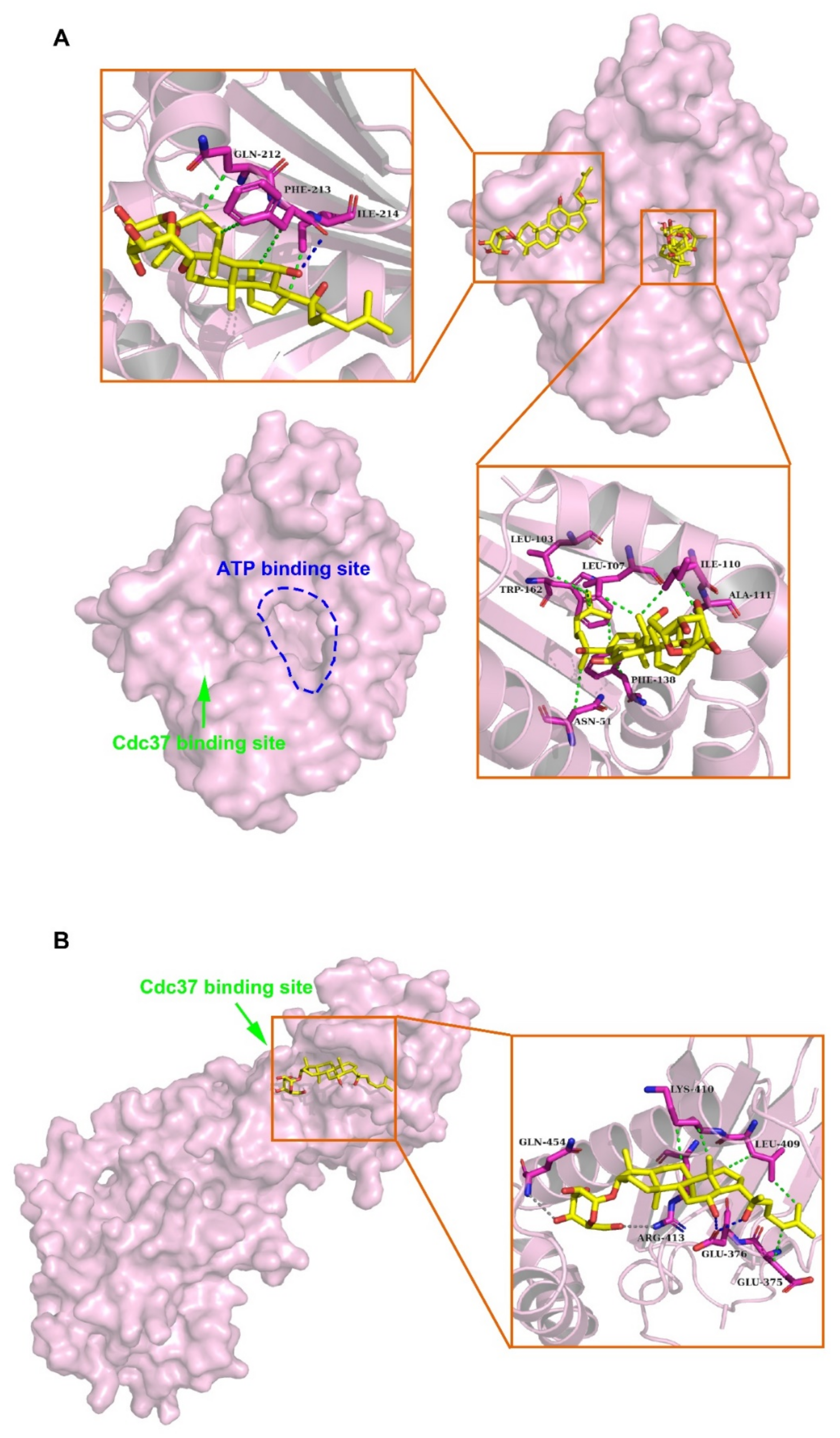 Ijms 22 13170 g002 550