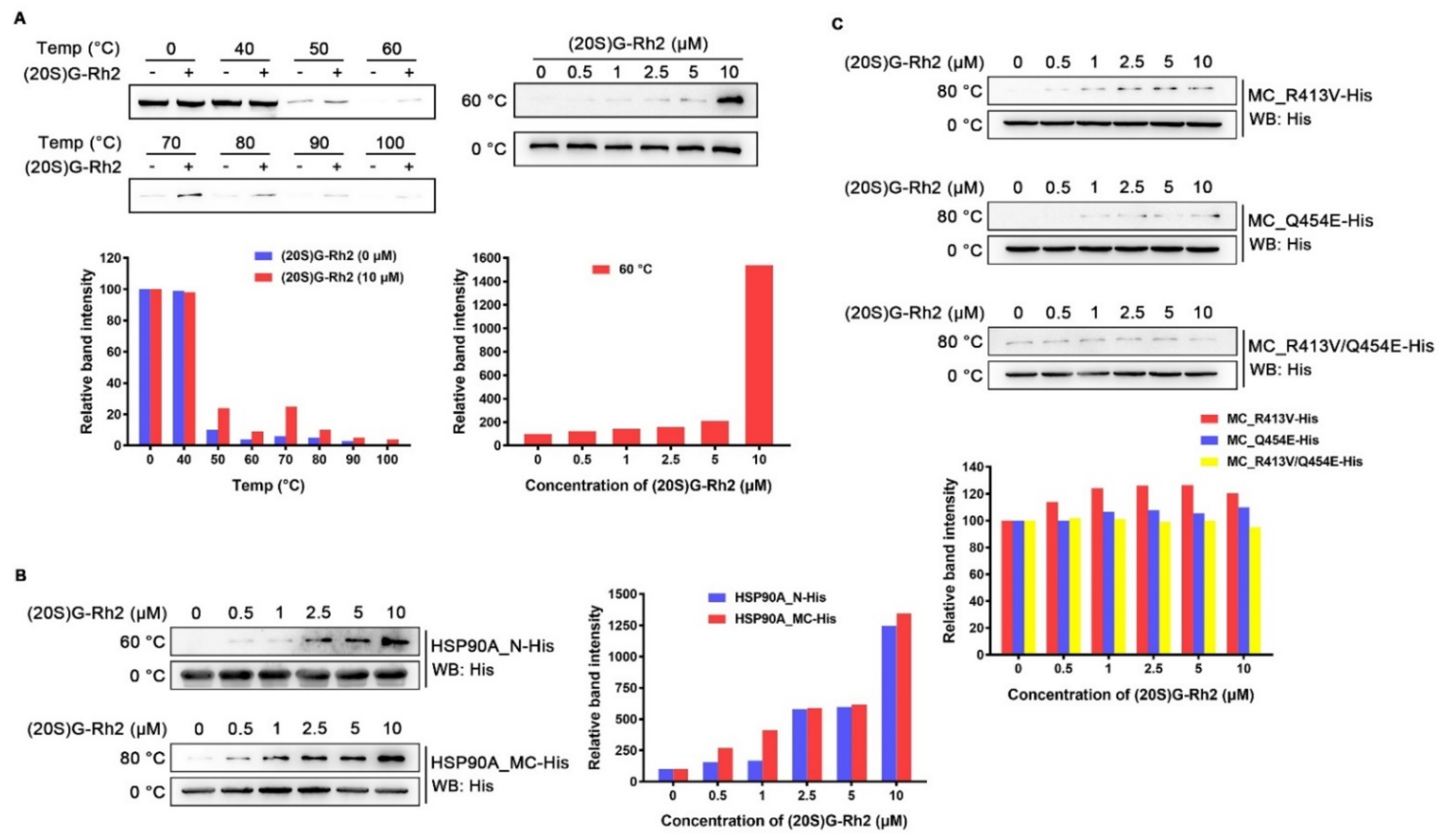 Ijms 22 13170 g003 550