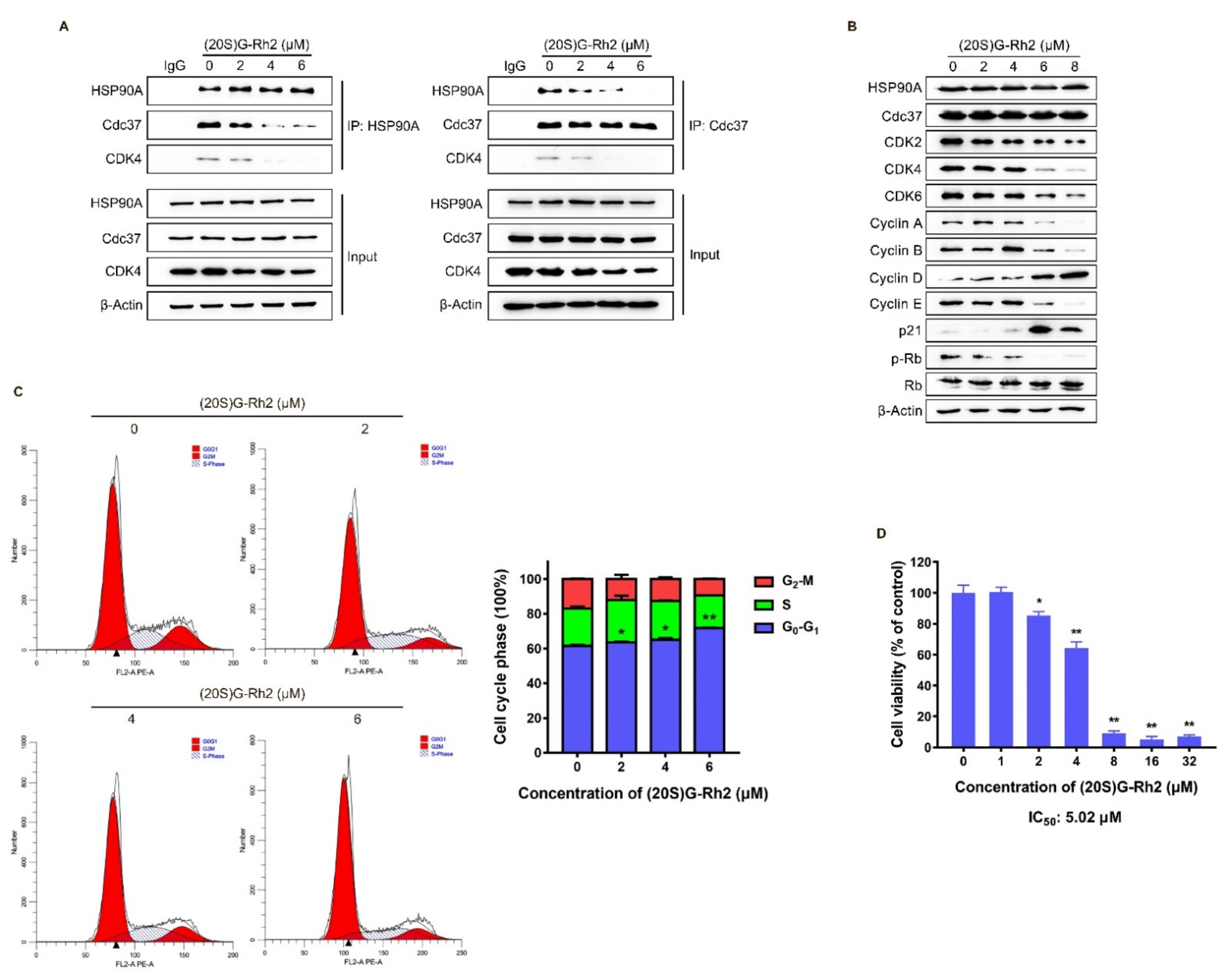 Ijms 22 13170 g004 550