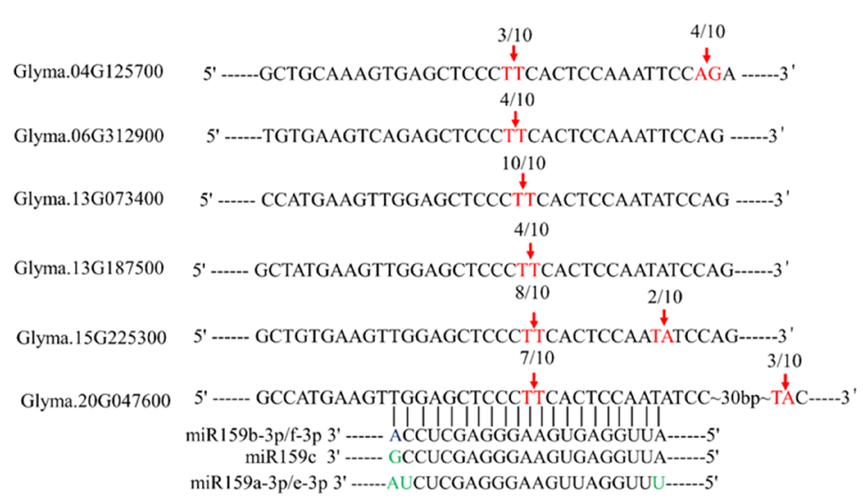 Ijms 22 13172 g002 550