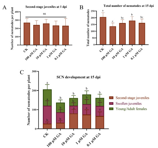 Soybean miR159-GmMYB33 Regulatory Network Involved in Soybean miR159-GmMYB33 Regulatory Network Involved in