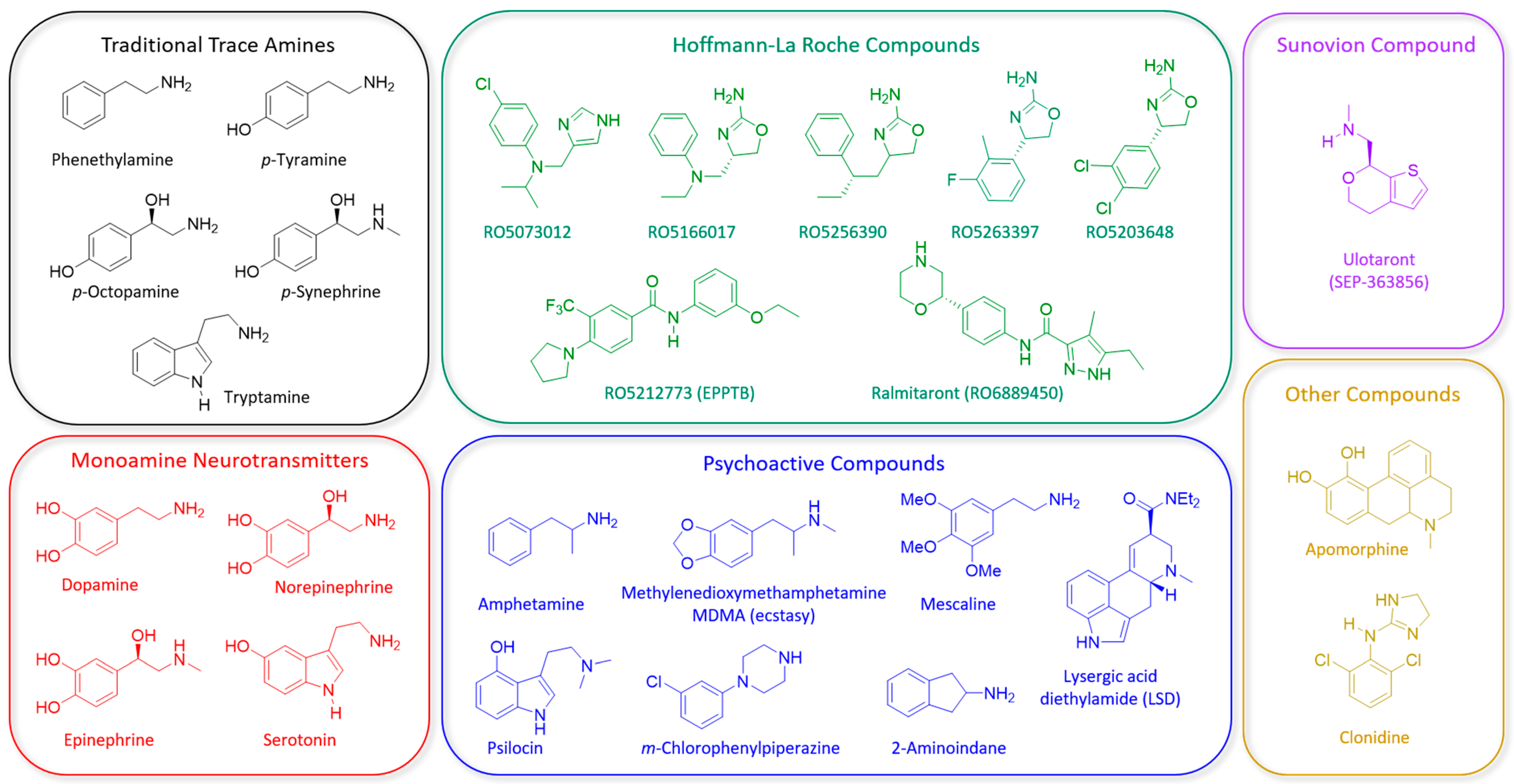 Ijms 22 13185 g001 Ijms 22 13185 g001