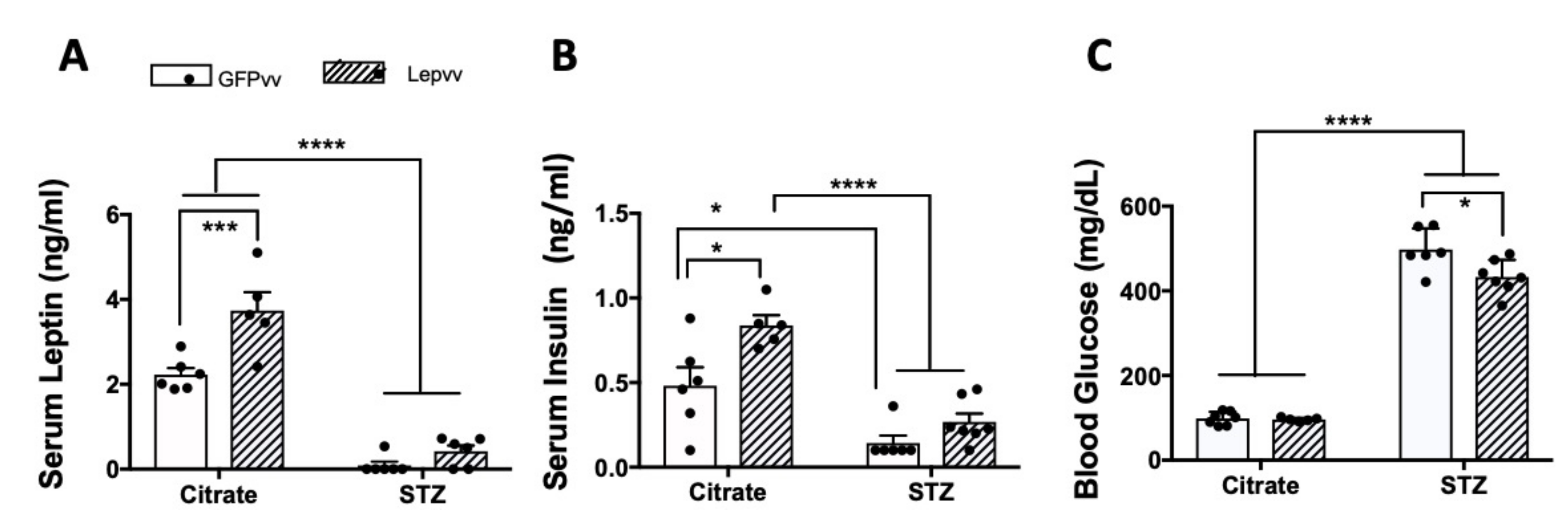 Ijms 22 13197 g004 Ijms 22 13197 g004