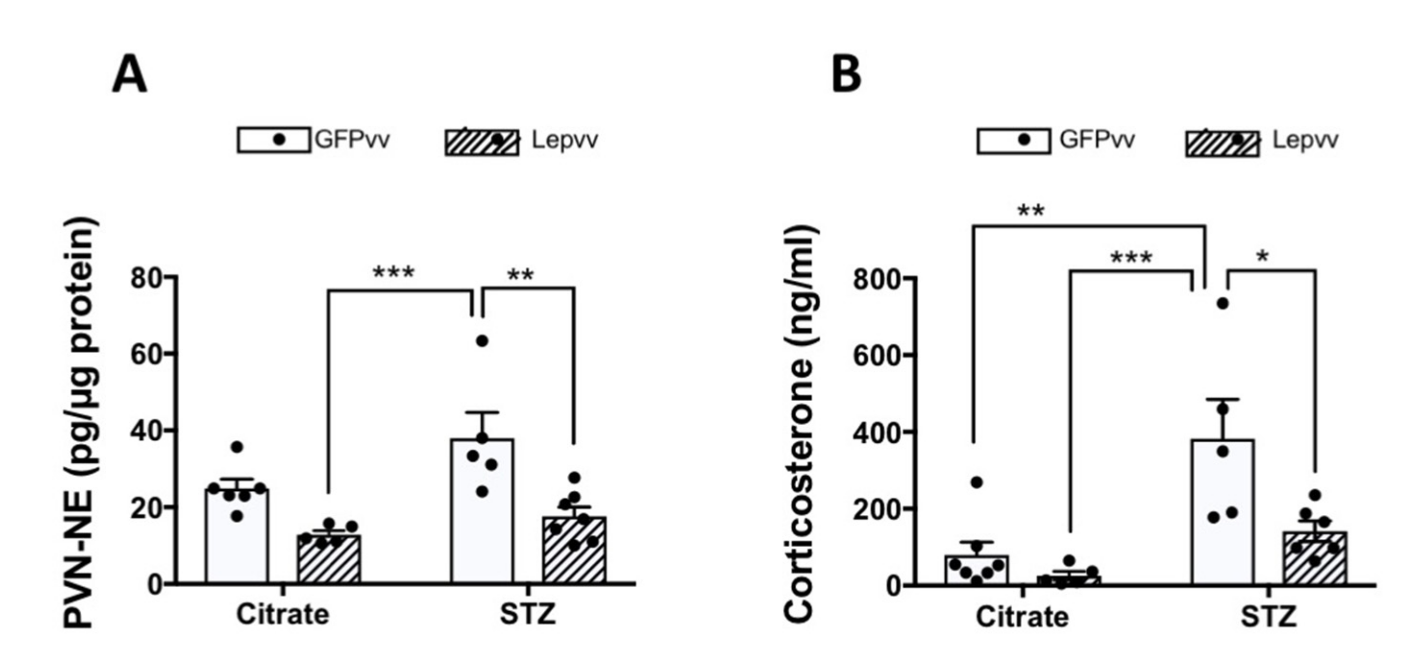 Ijms 22 13197 g005 Ijms 22 13197 g005