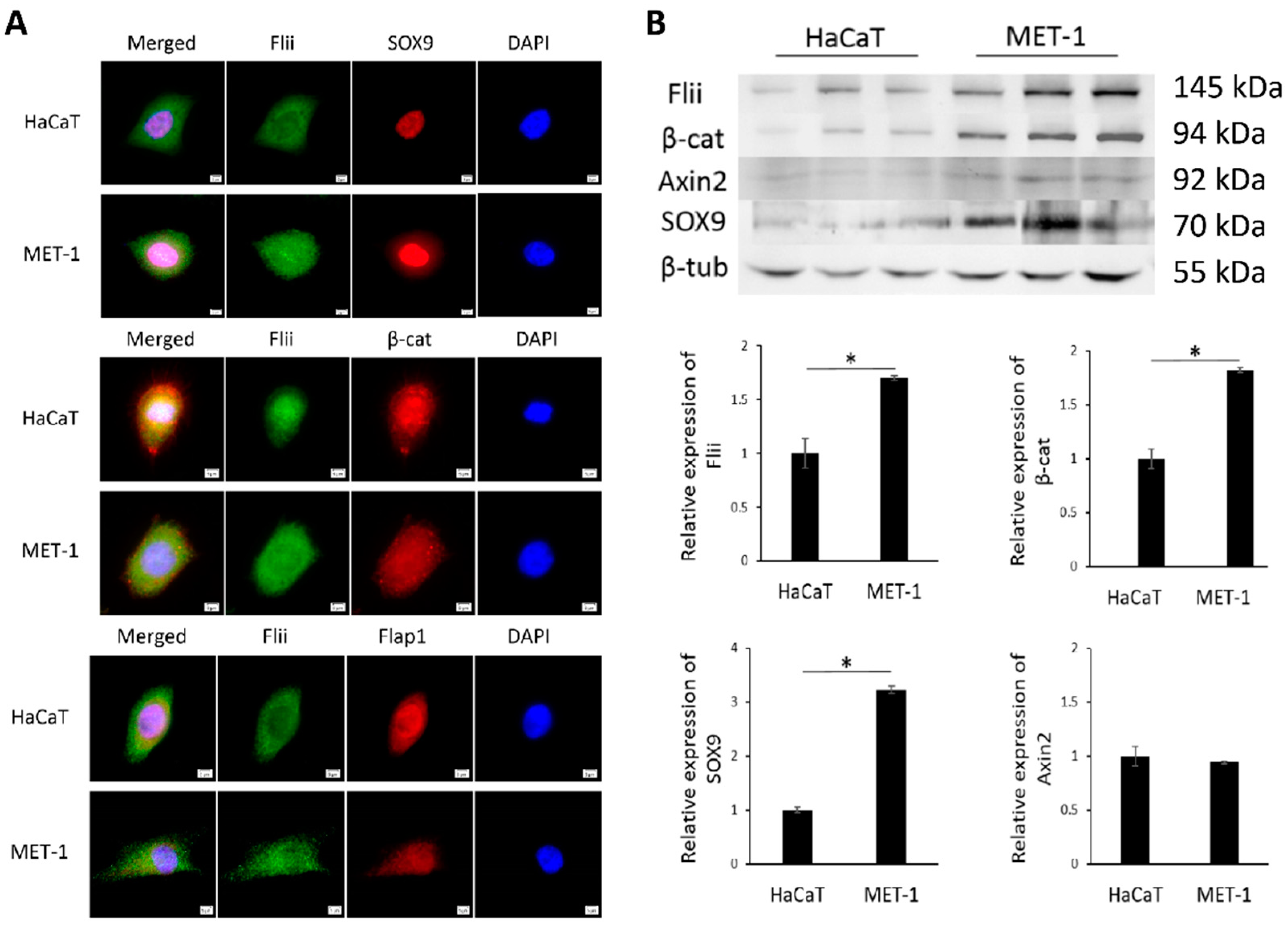 Ijms 22 13203 g001 Ijms 22 13203 g001