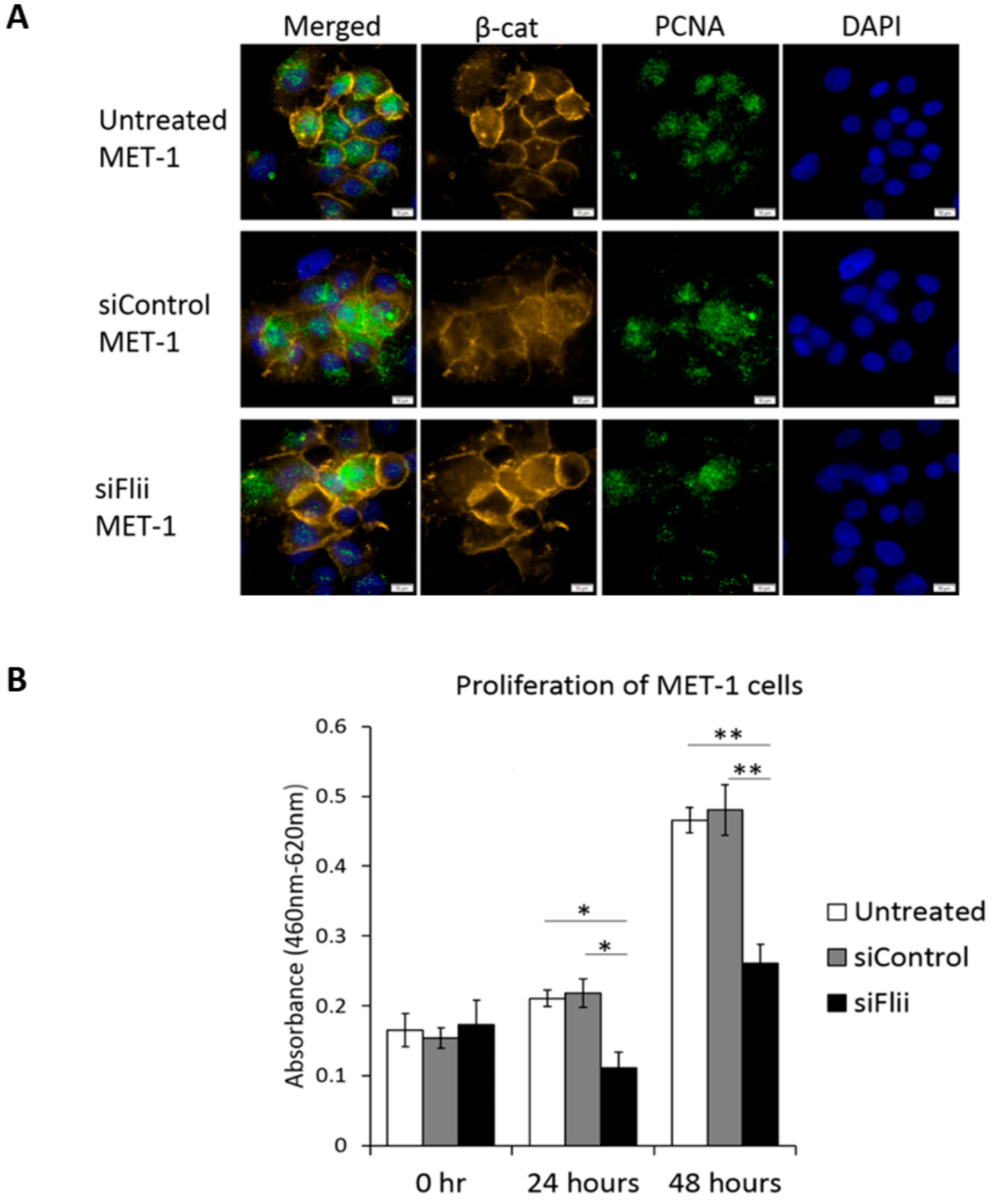 Ijms 22 13203 g003 Ijms 22 13203 g003