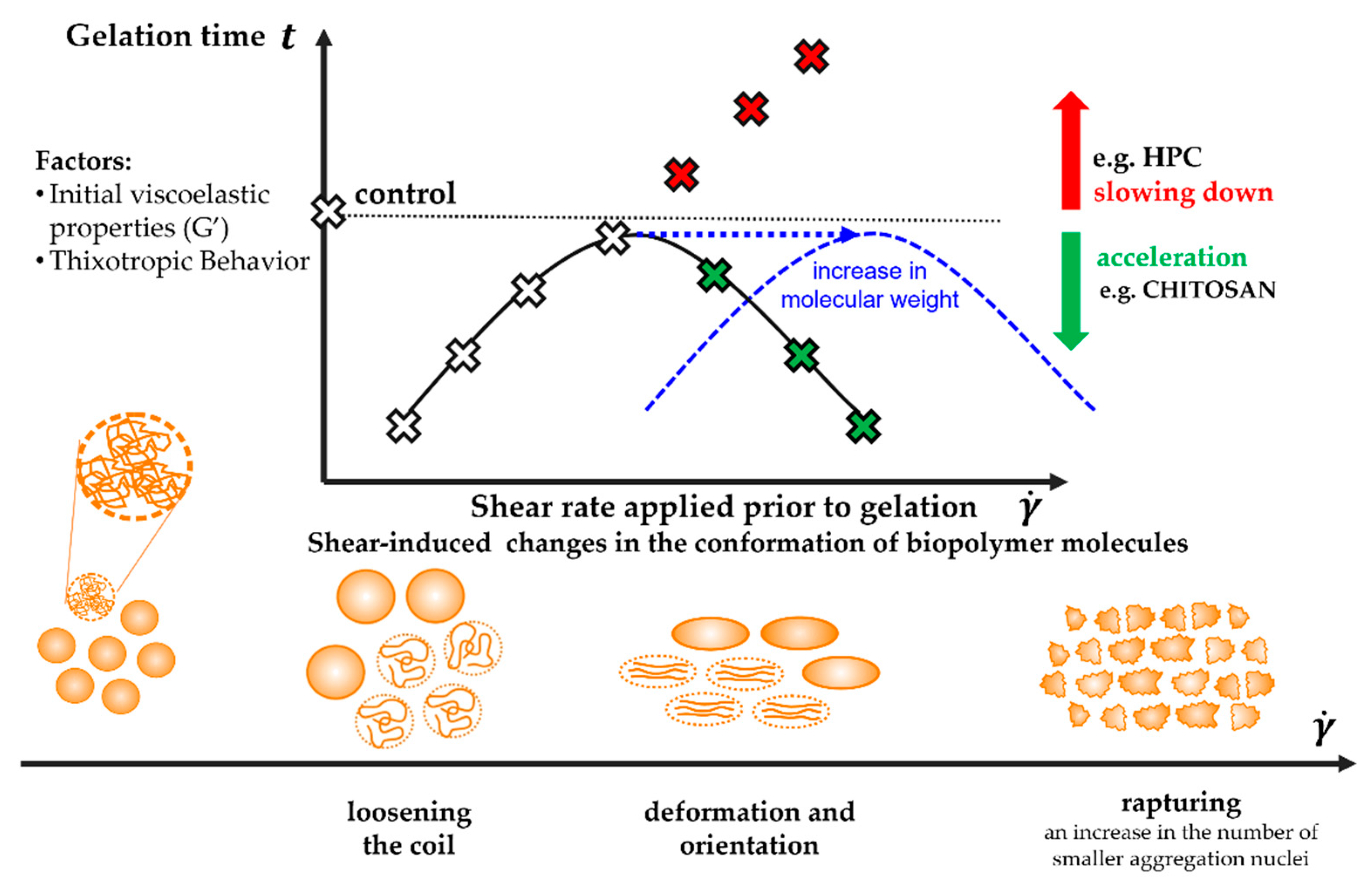 Ijms 22 13208 sch001 Ijms 22 13208 sch001