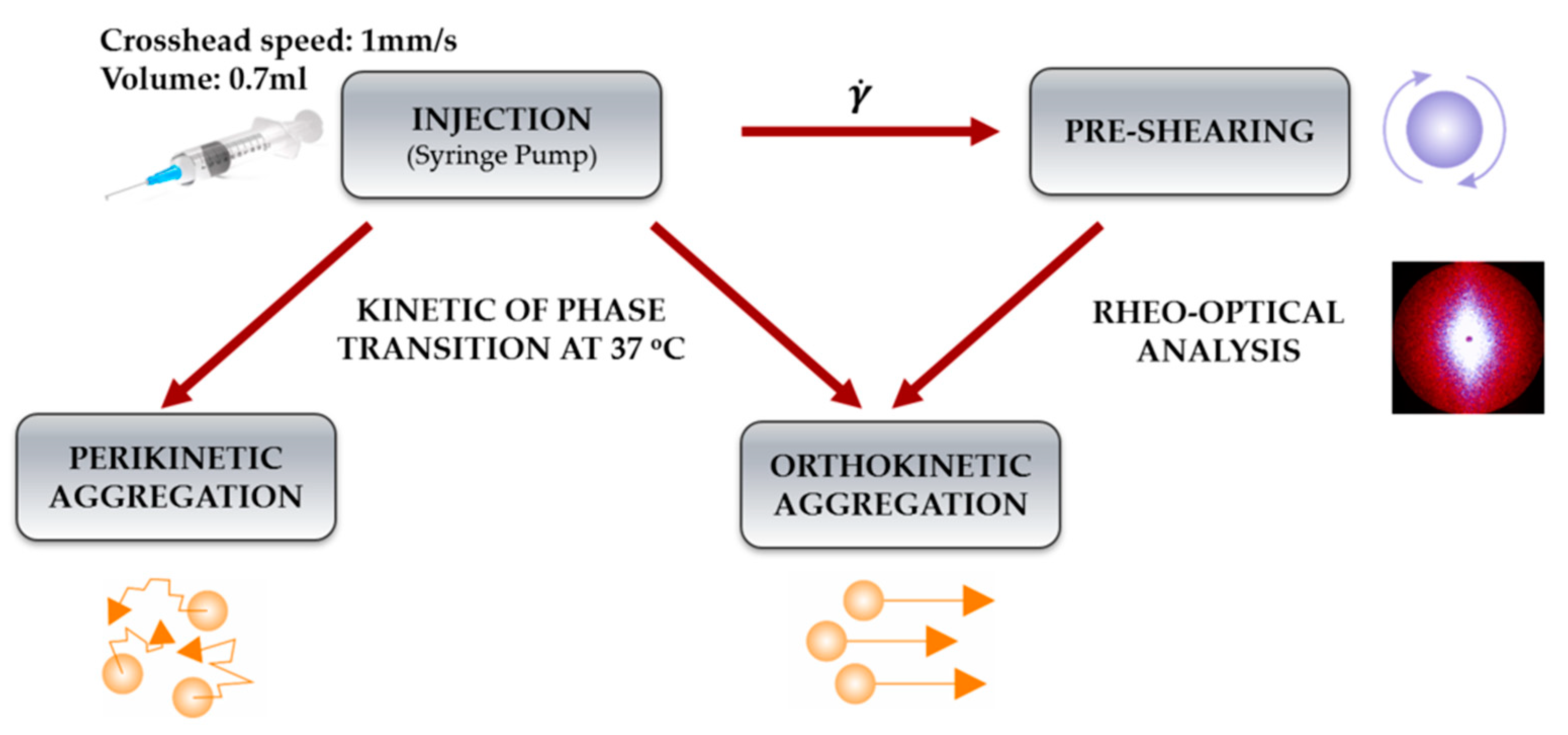 Ijms 22 13208 sch002 Ijms 22 13208 sch002