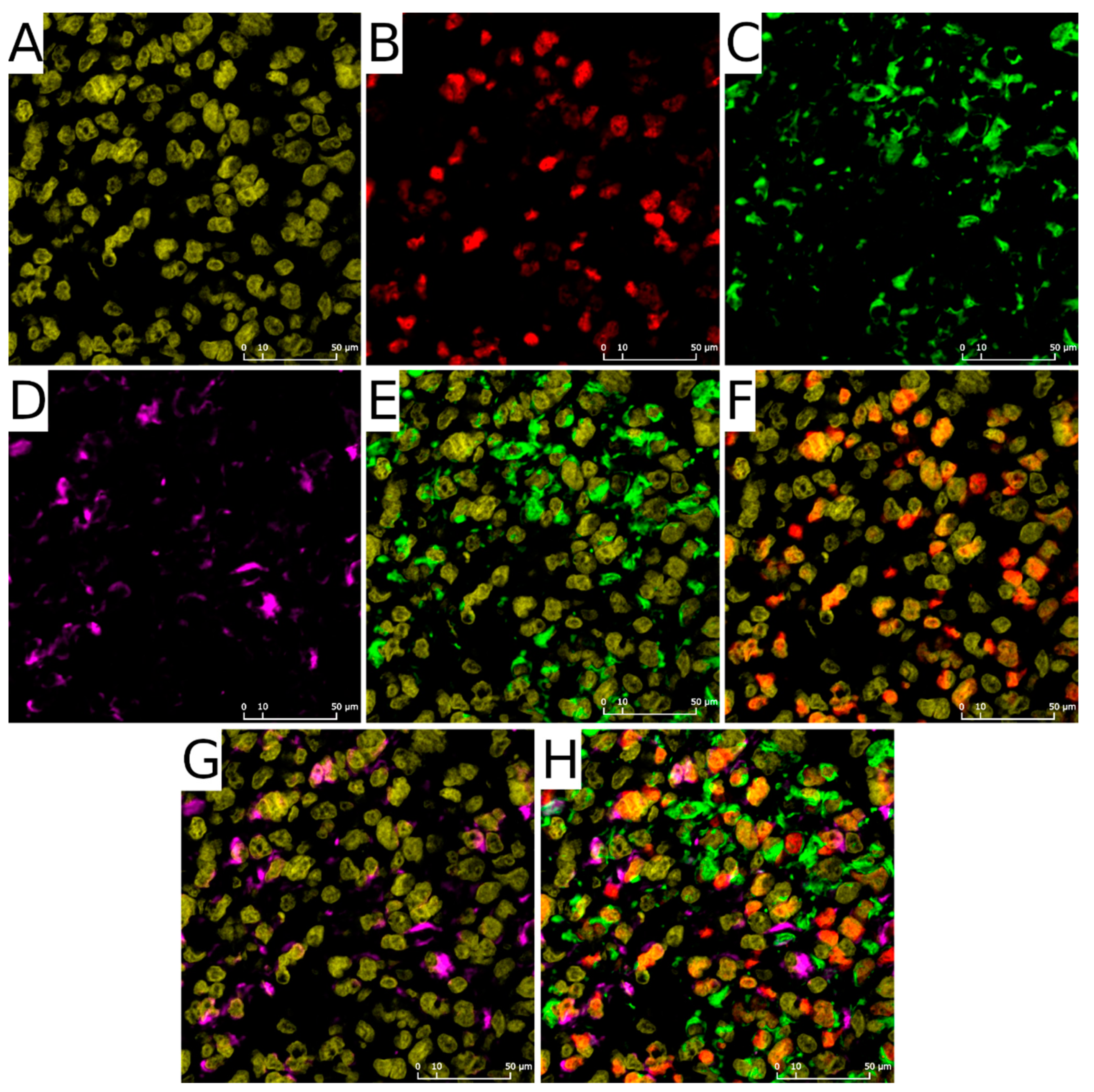 Ijms 22 13217 g001 550