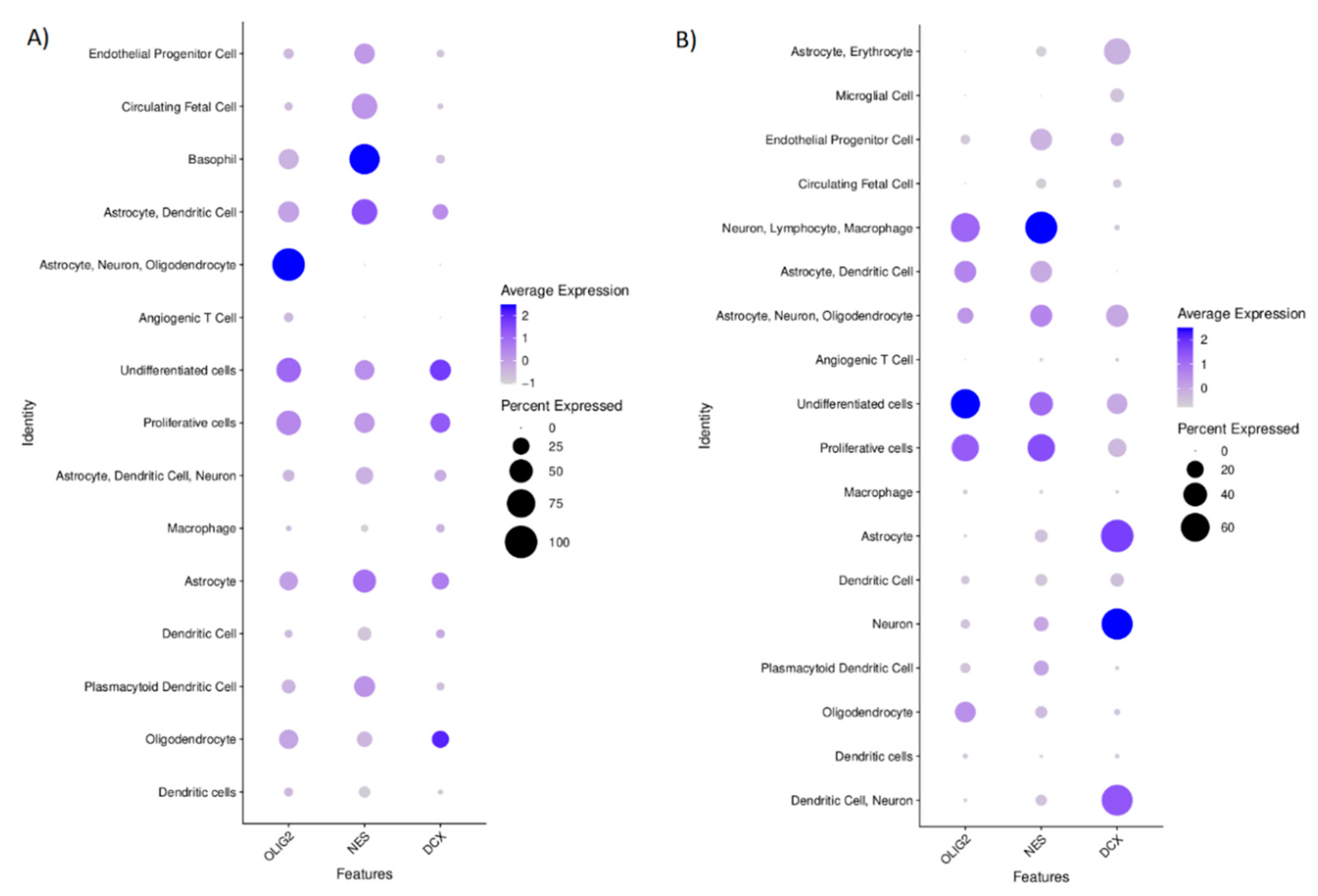 Ijms 22 13217 g006 550