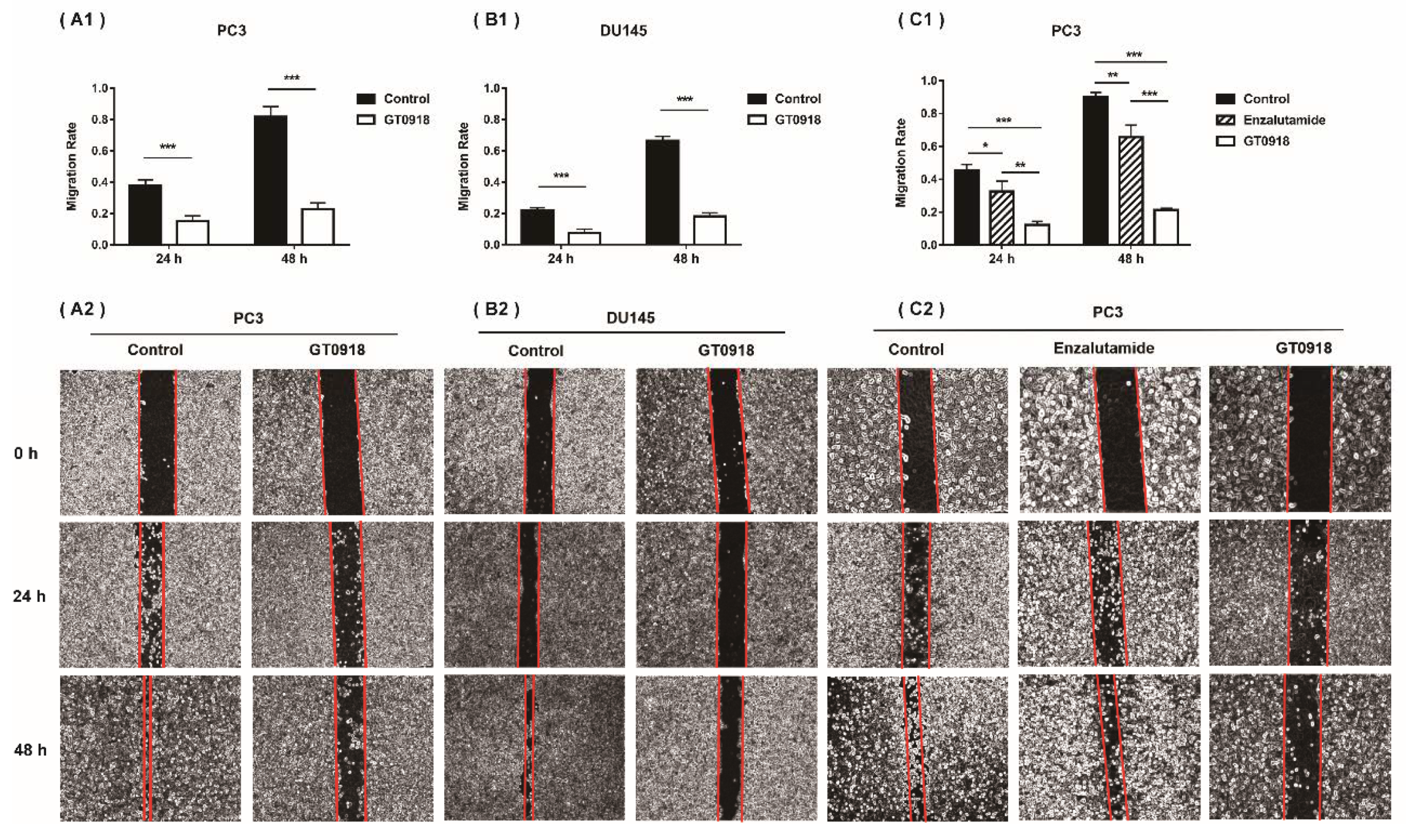 Ijms 22 13222 g001 Ijms 22 13222 g001