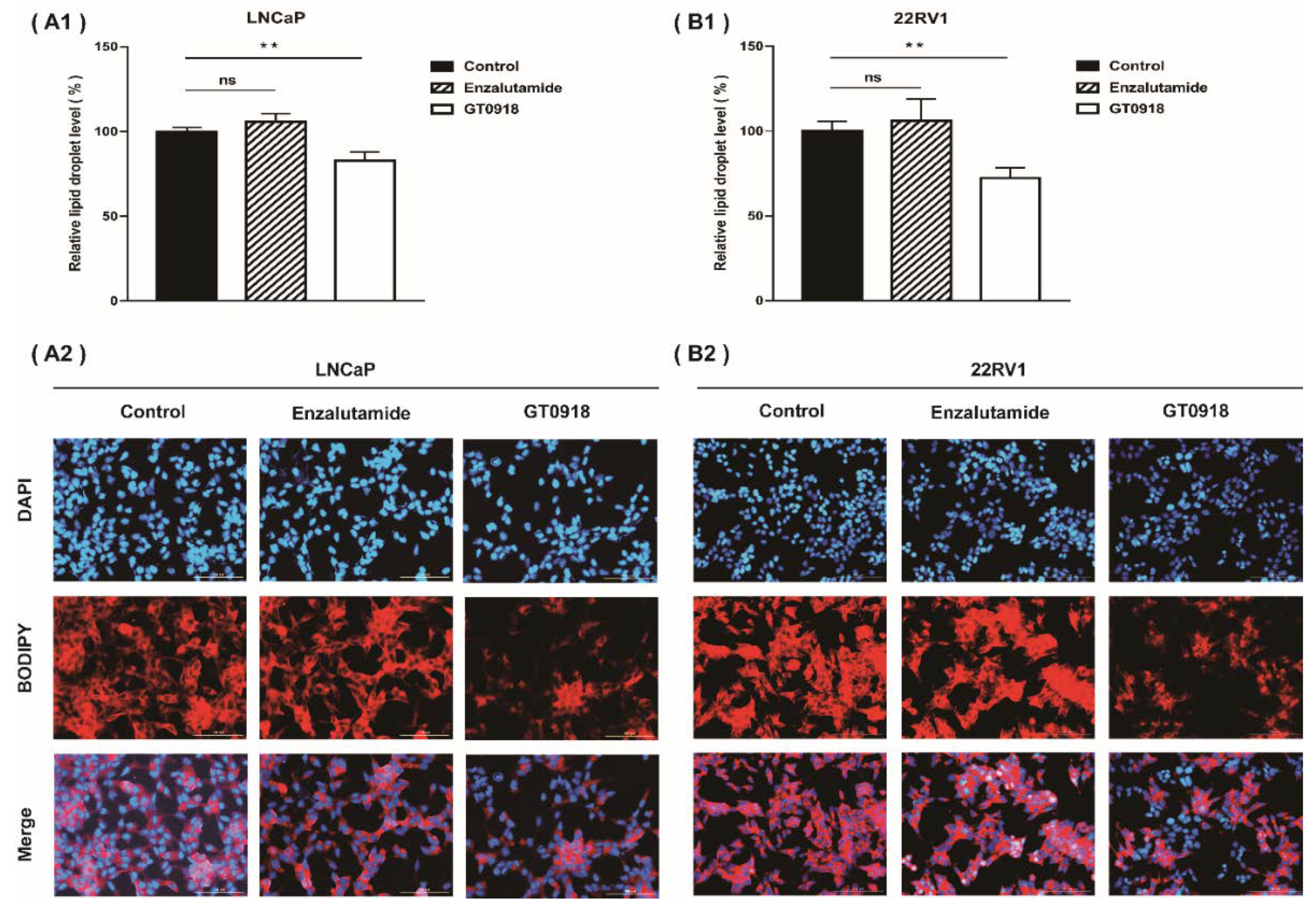 Ijms 22 13222 g003 Ijms 22 13222 g003