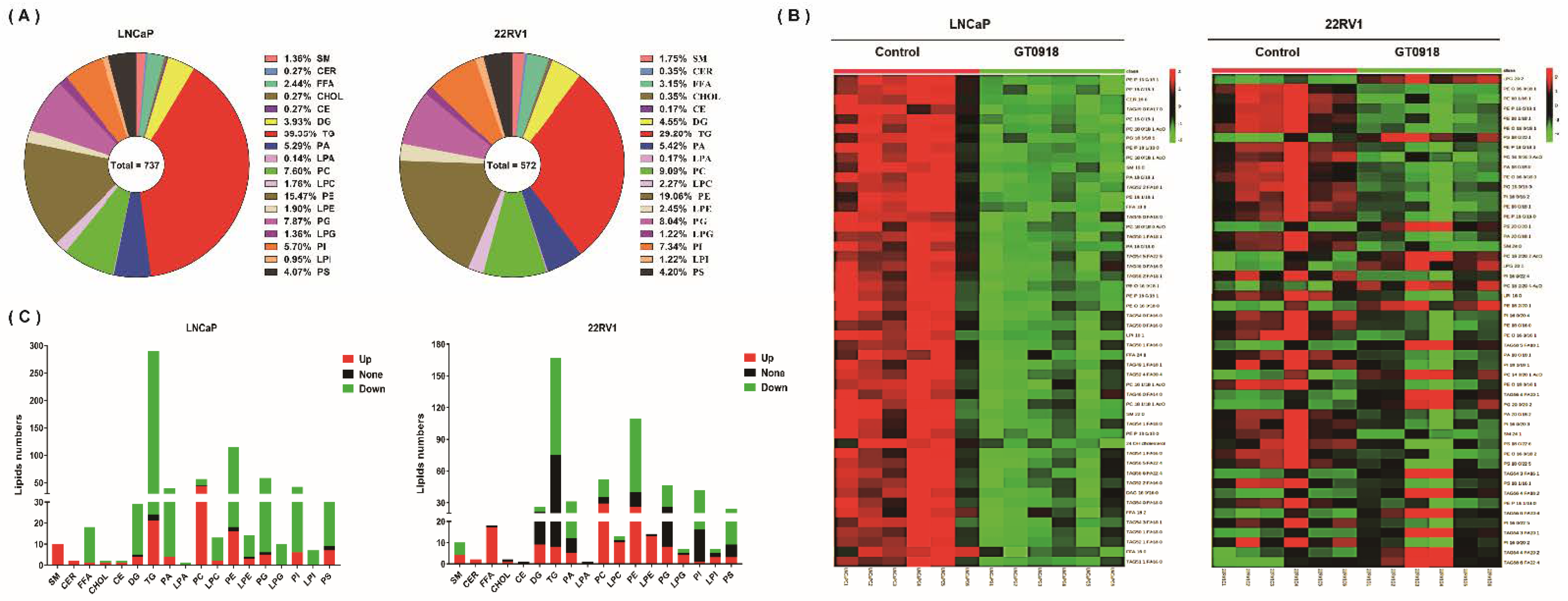 Ijms 22 13222 g004 Ijms 22 13222 g004