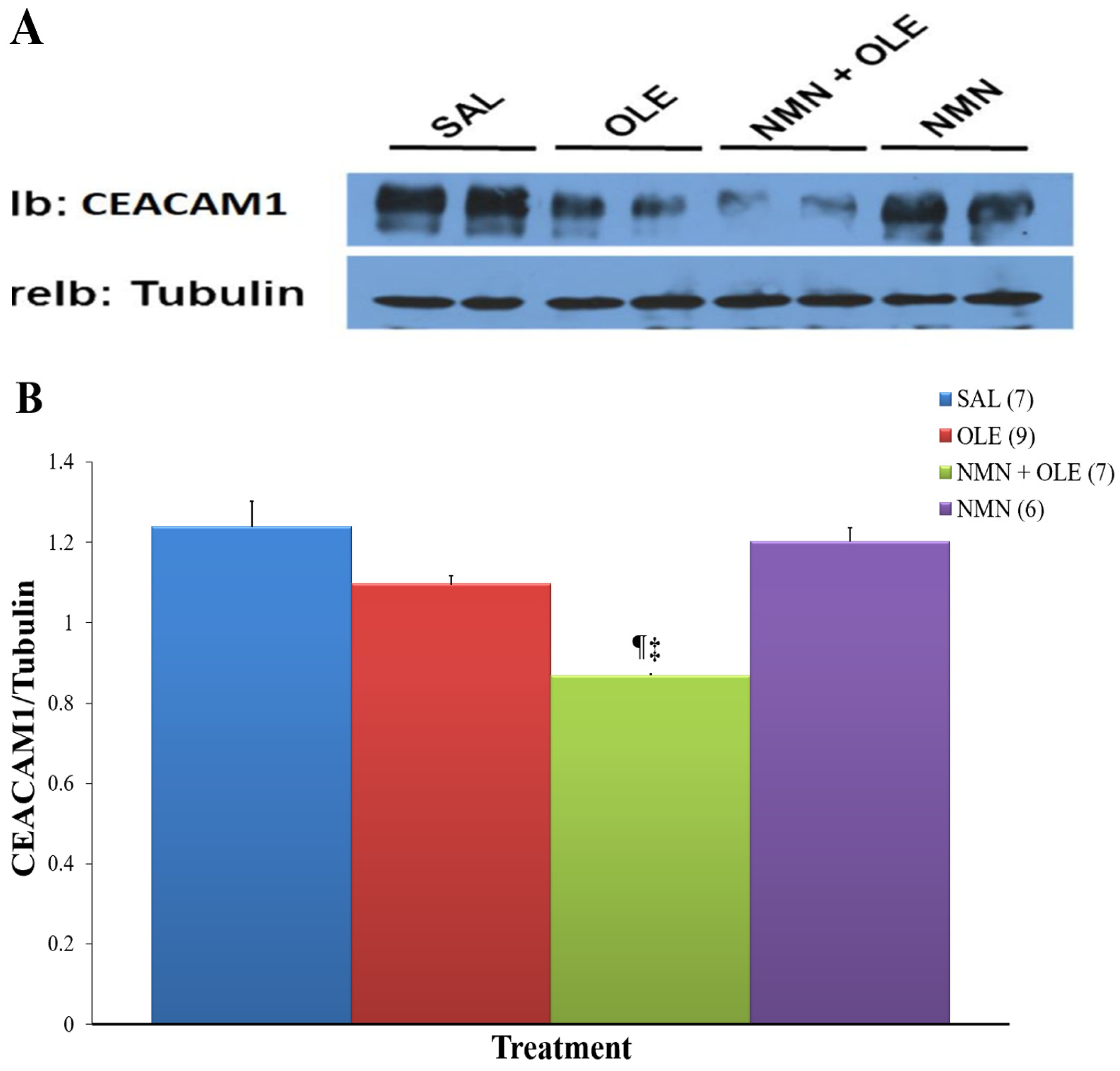 Ijms 22 13224 g003 Ijms 22 13224 g003